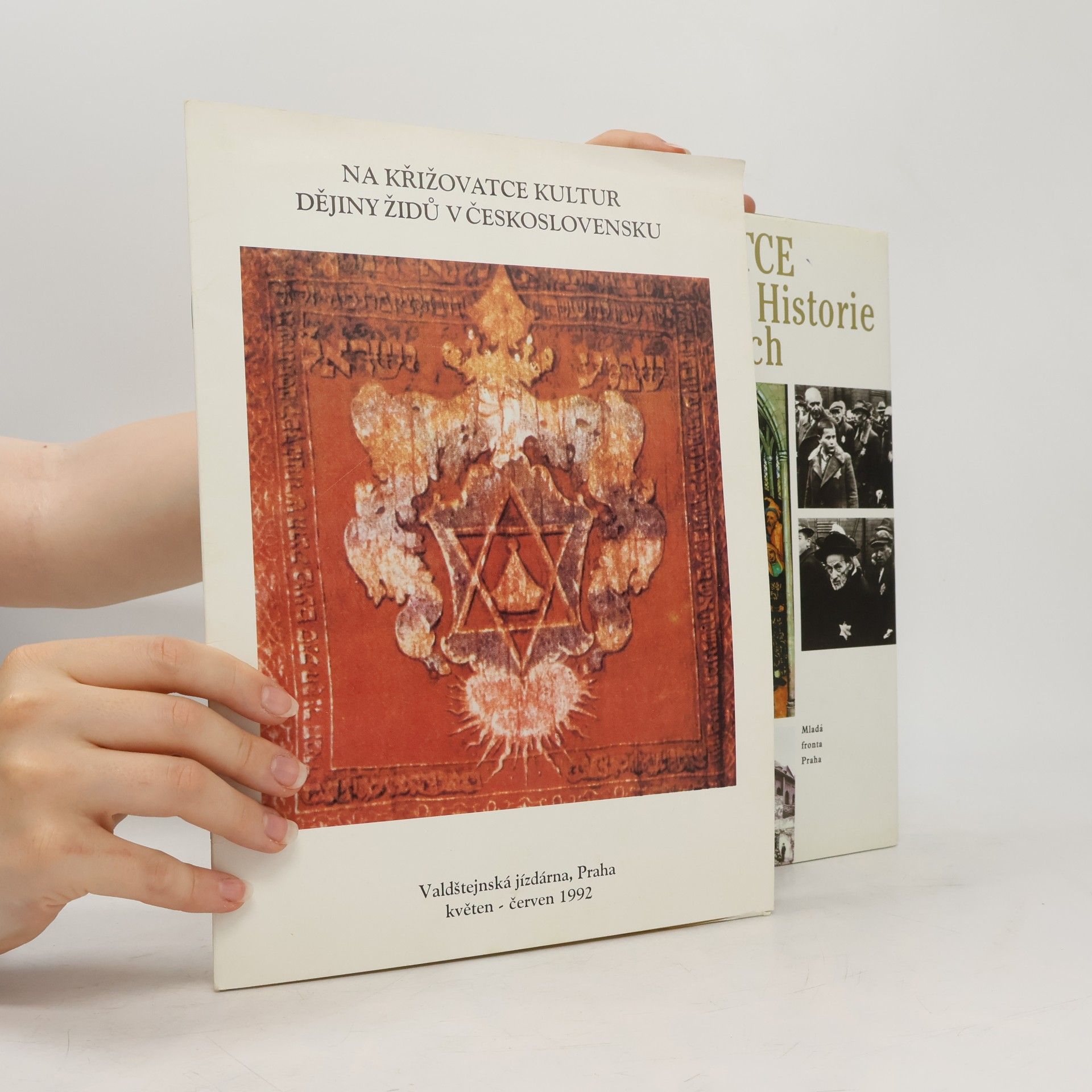 Collectif d'auteurs Na křižovatce kultur: Historie československých Židů