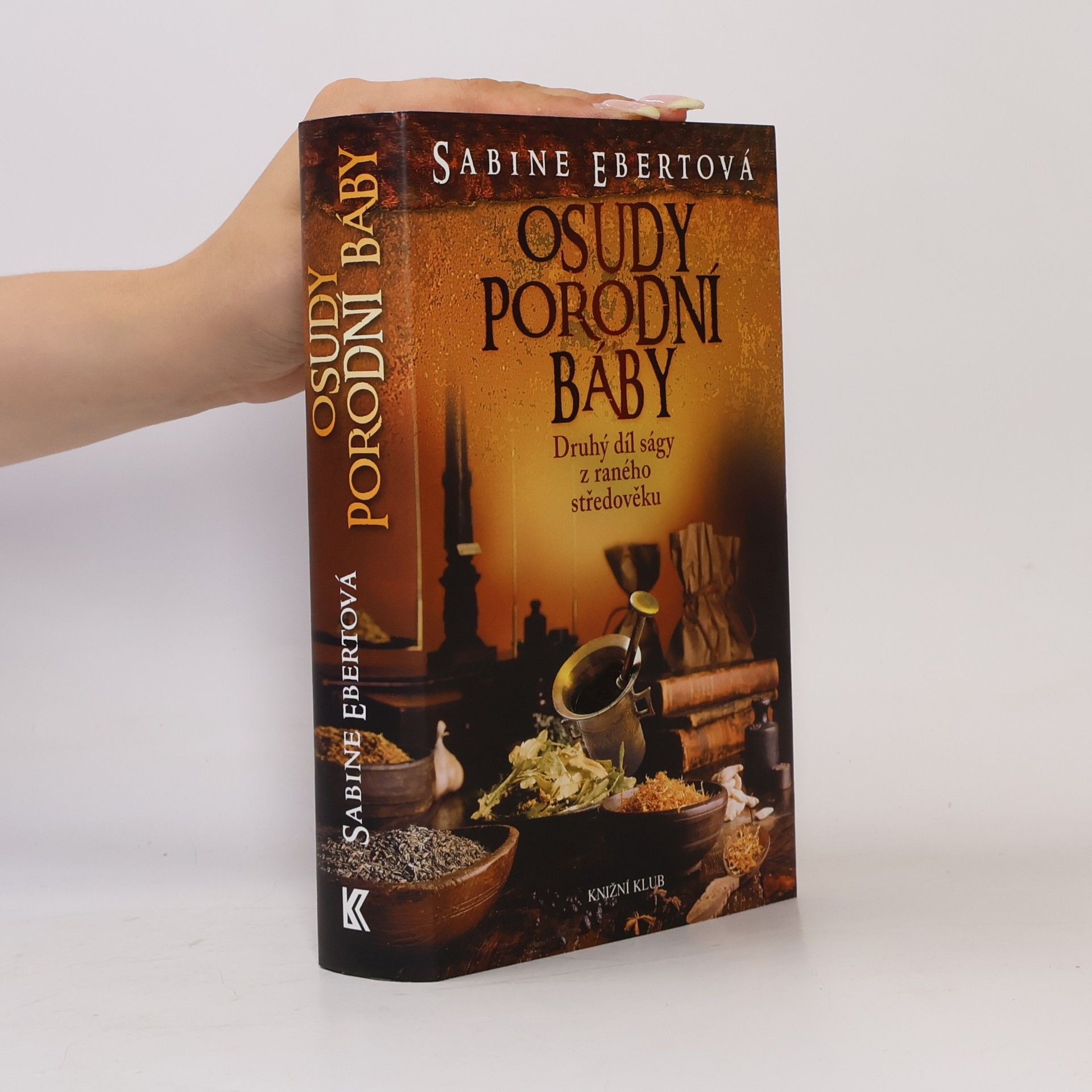 Sabine Ebert Osudy porodní báby