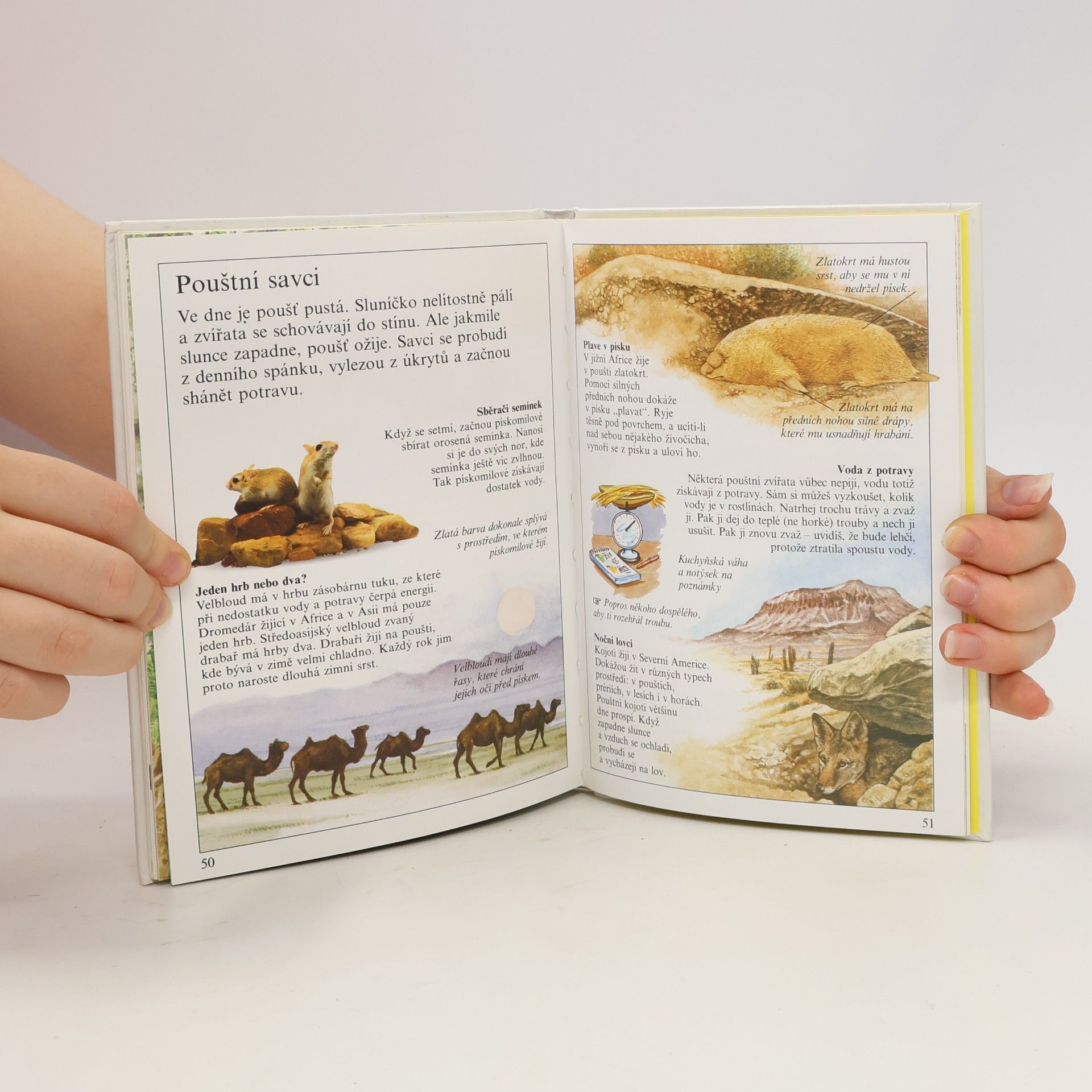 Autores varios Savci