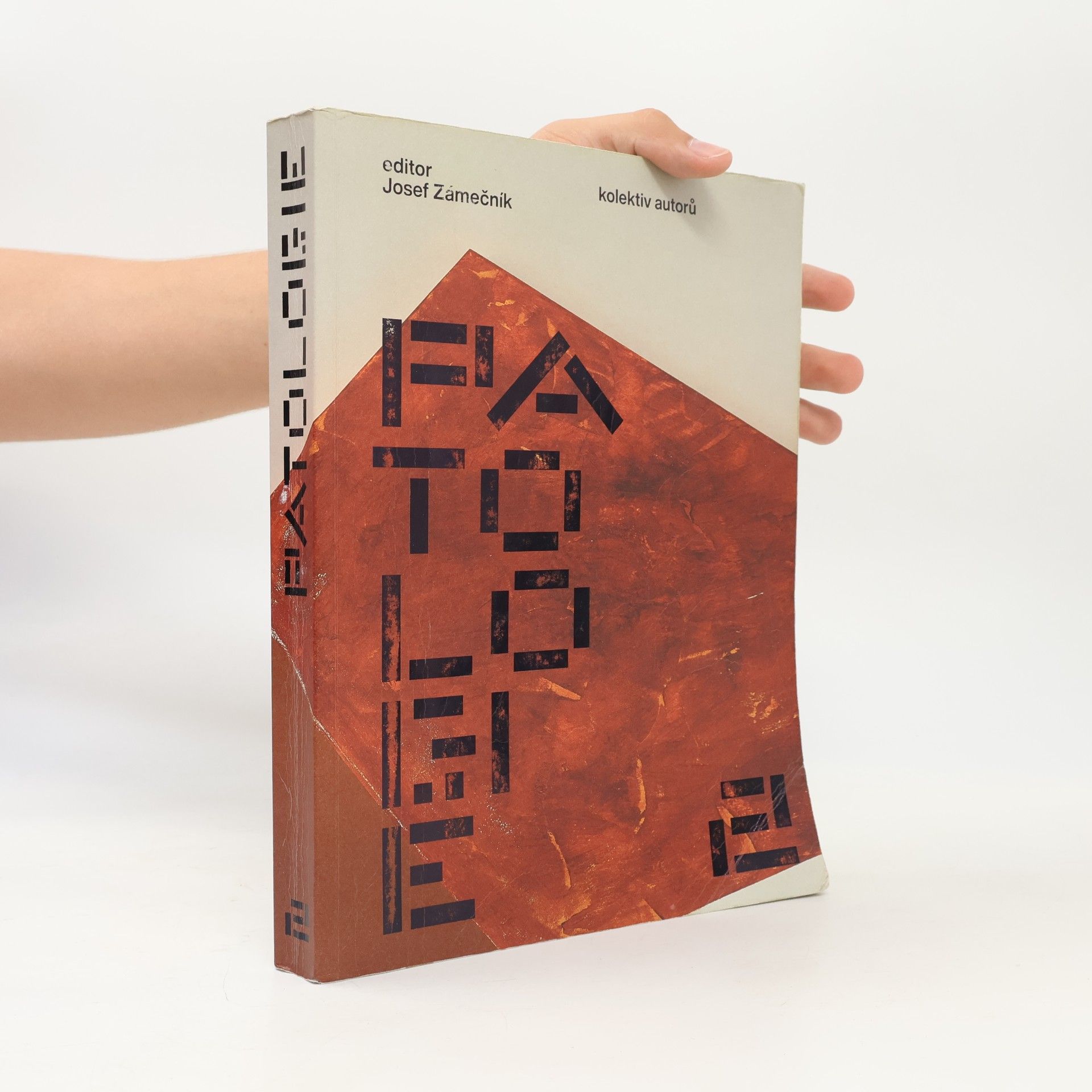 Josef Zámečník Patologie 2