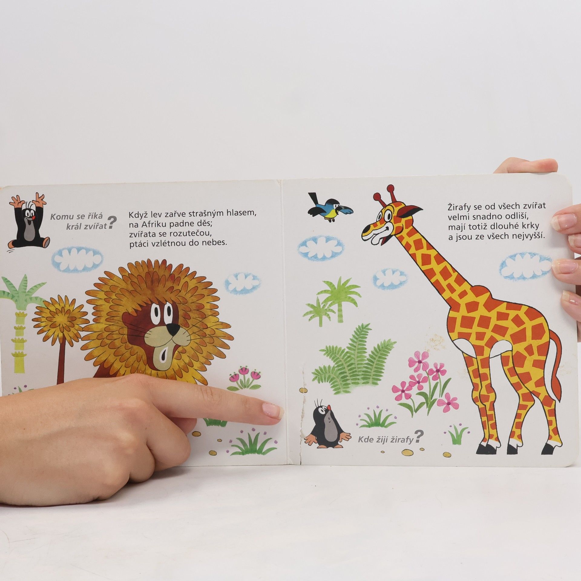 Jiří Žáček Krtek v ZOO