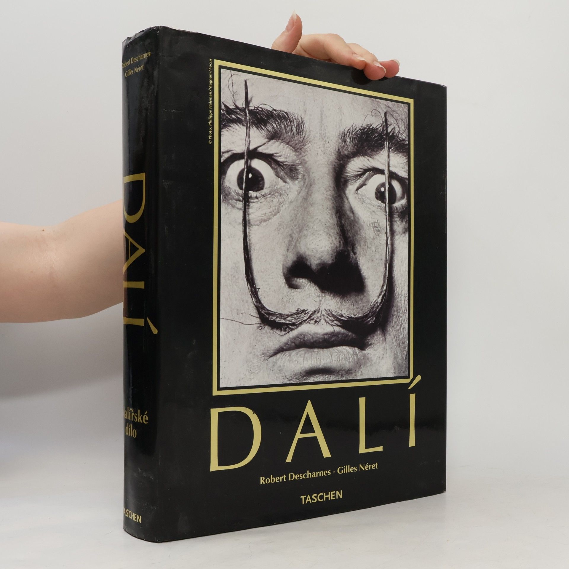 Robert Descharnes Dalí. Malířské dílo