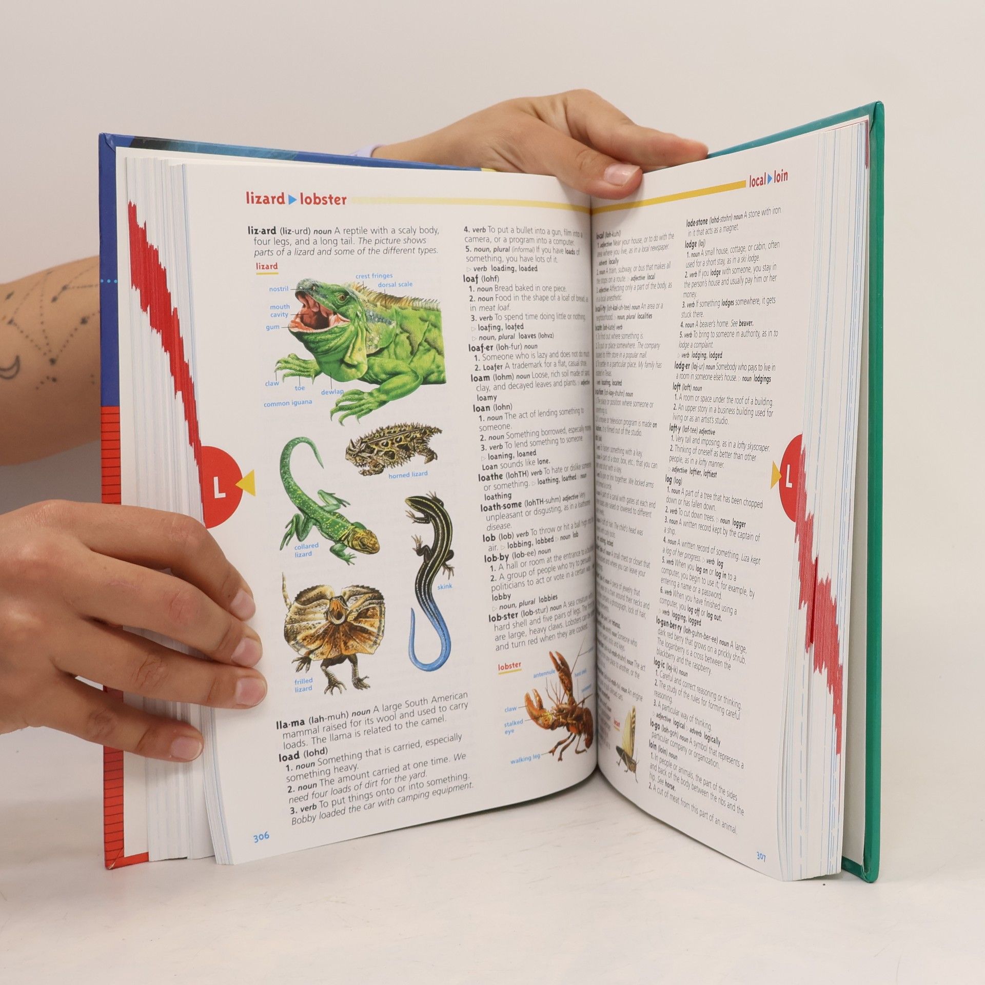 Collectif d'auteurs Scholastic Children's Dictionary