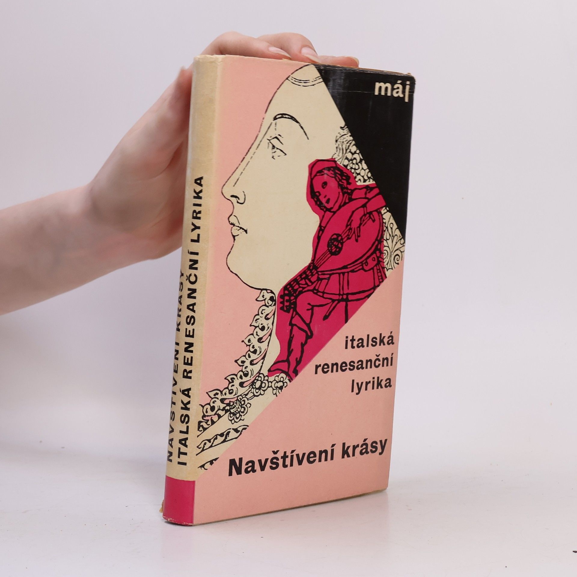 Navštívení krásy. Italská renesanční lyrika