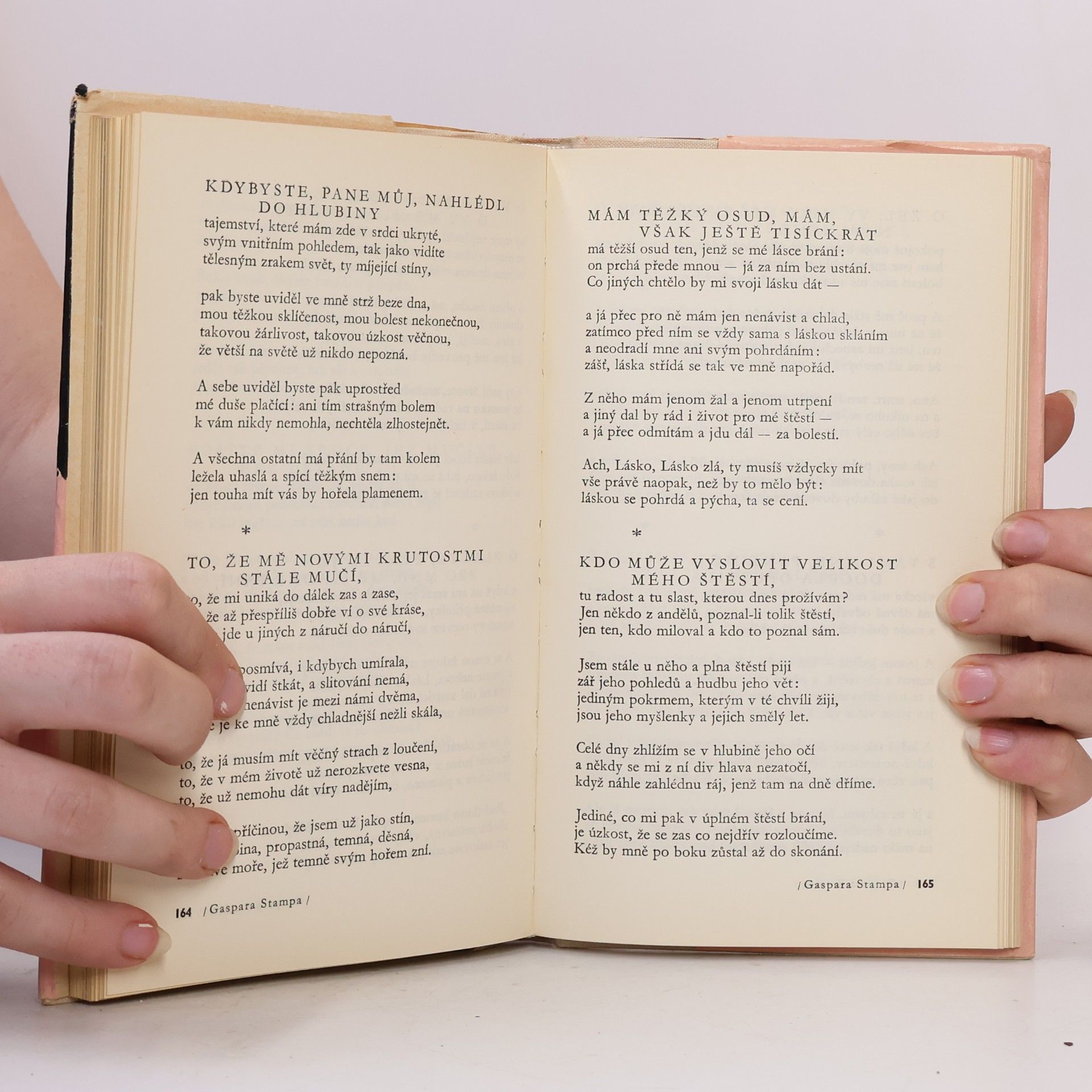 Jan Vladislav Navštívení krásy. Italská renesanční lyrika