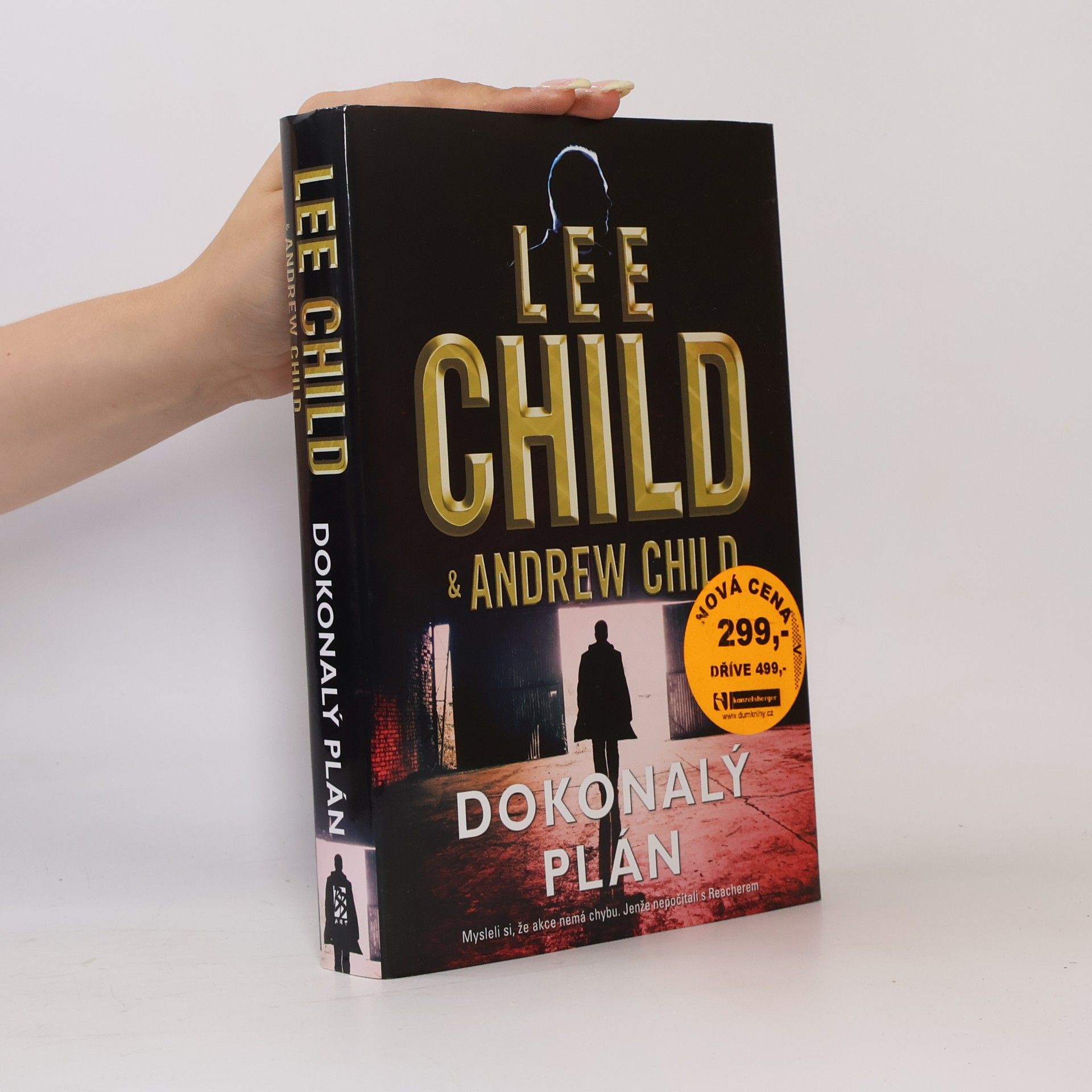 Lee Child Dokonalý plán