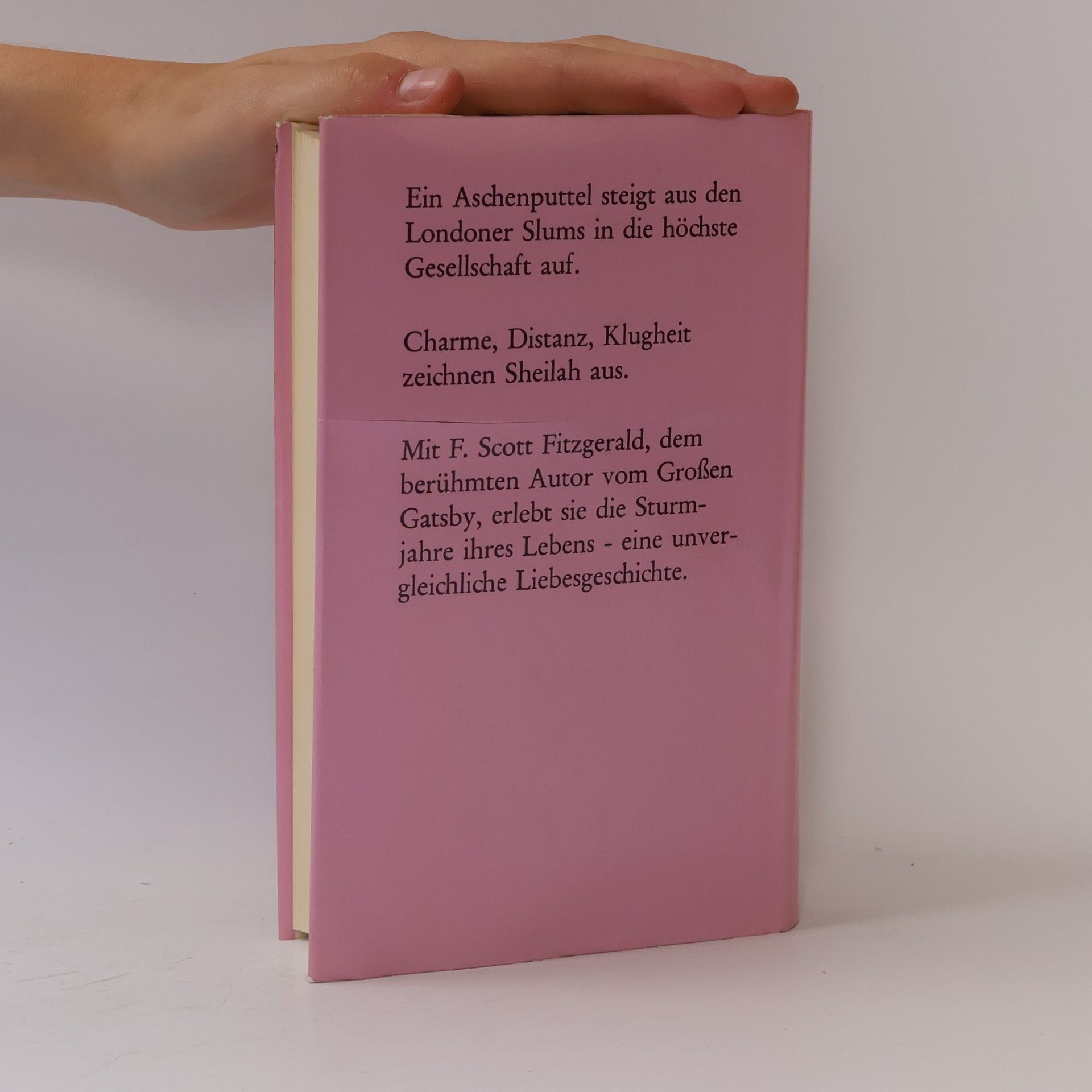 Sheilah Graham F. Scott Fitzgerald, meine große Liebe