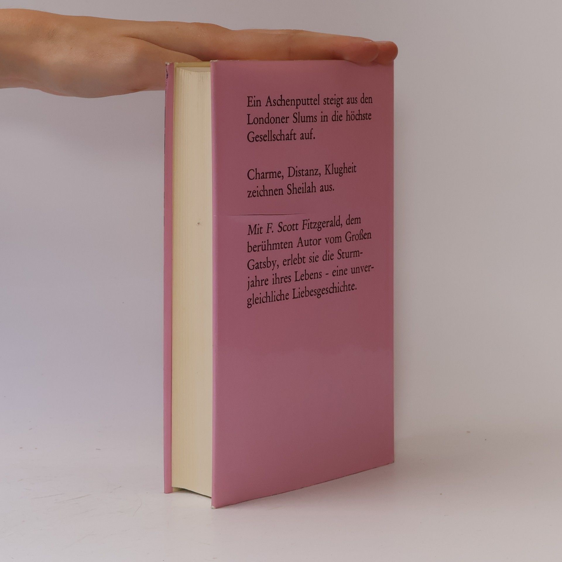 Sheilah Graham F. Scott Fitzgerald, meine große Liebe