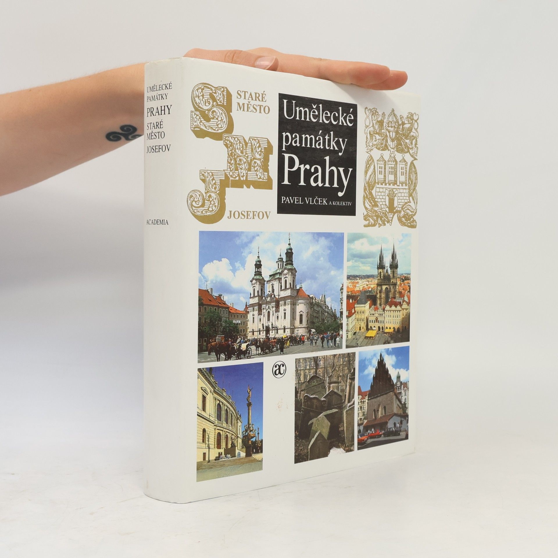 Pavel Vlček Umělecké památky Prahy. Staré město - Josefov.