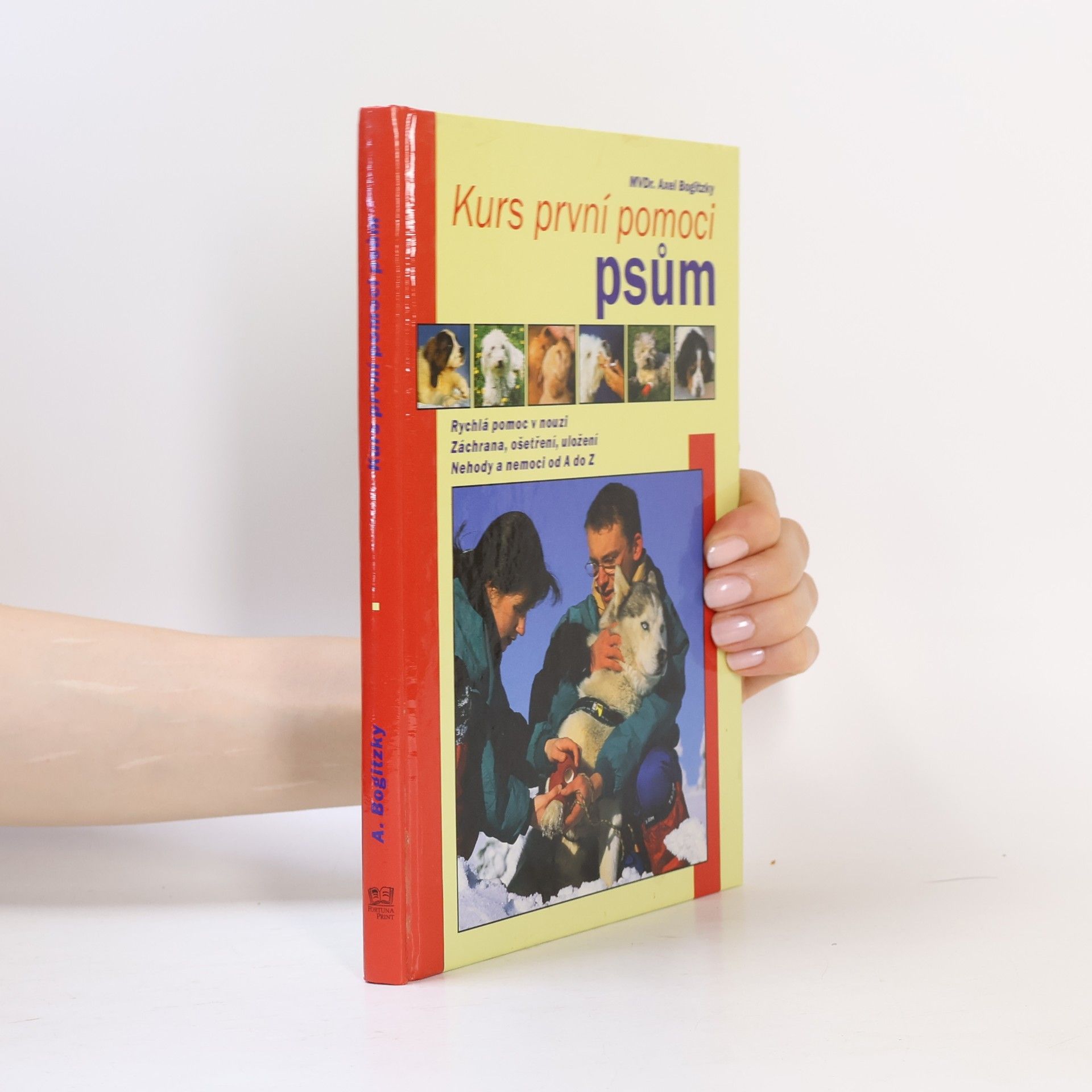 Axel Bogitzky Kurs první pomoci psům