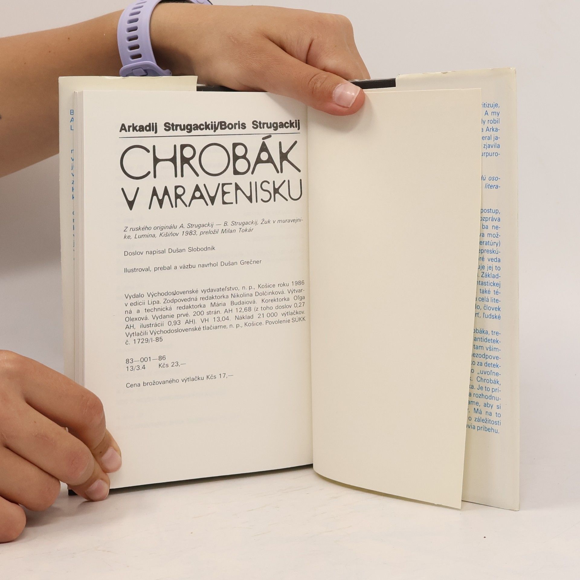 Arkadij Strugackij Chrobák v mravenisku