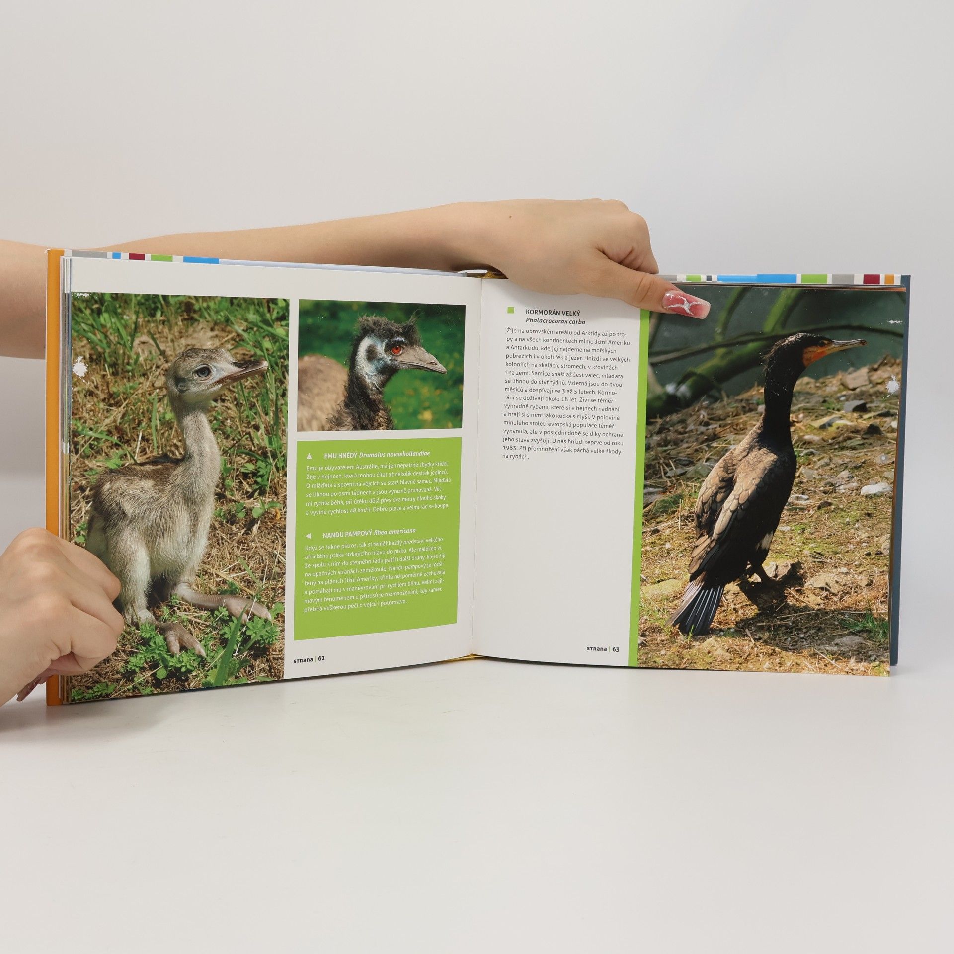 Milan Kořínek ZOO Olomouc v obrazech
