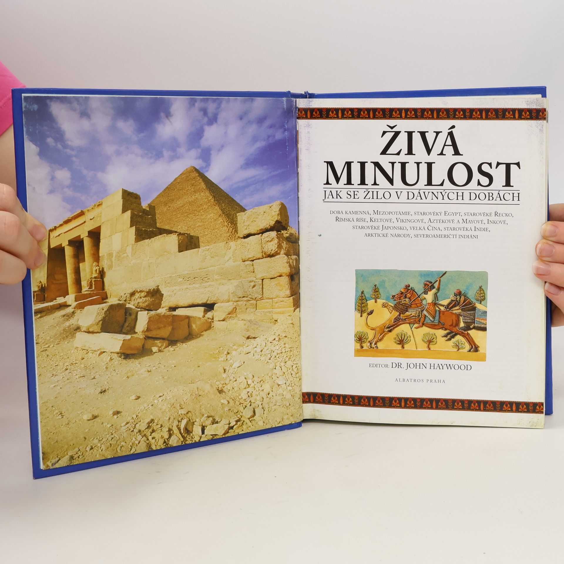 John Haywood Živá minulost : jak se žilo v dávných dobách