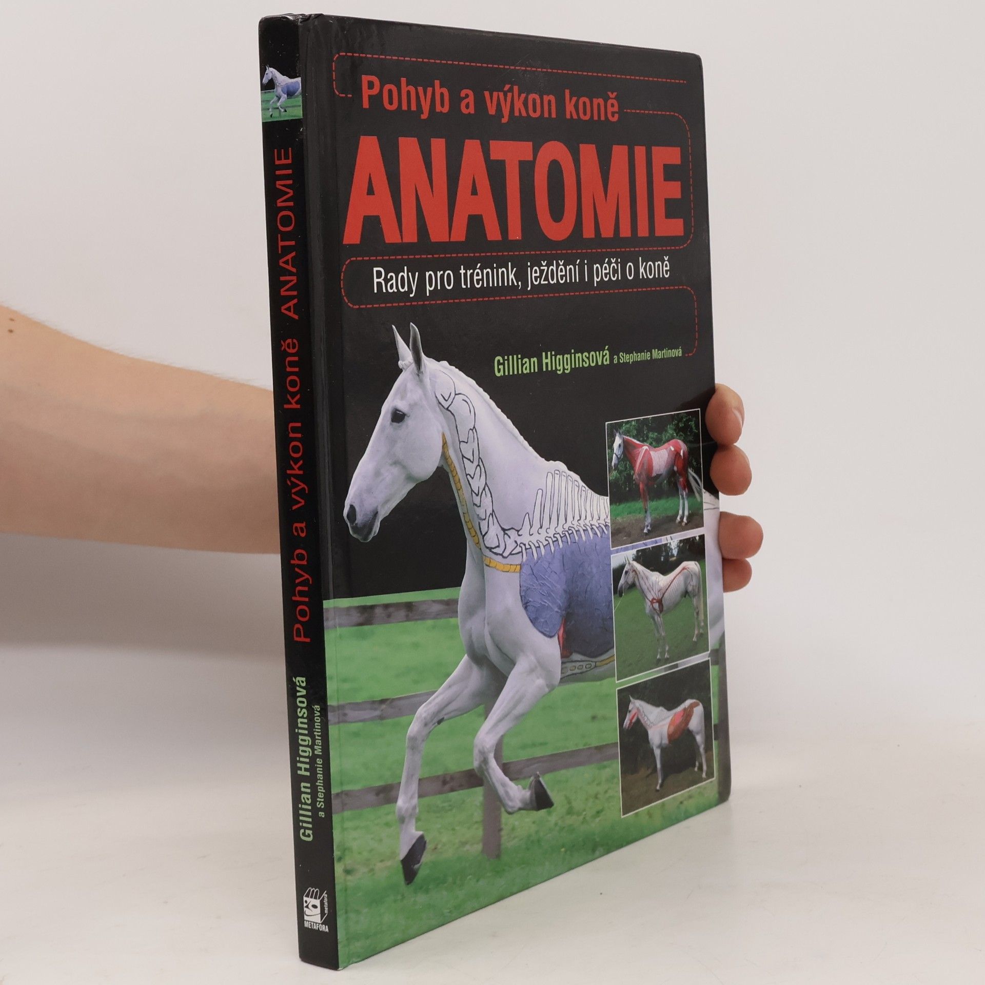Gillian Higgins Pohyb a výkon koně. Anatomie