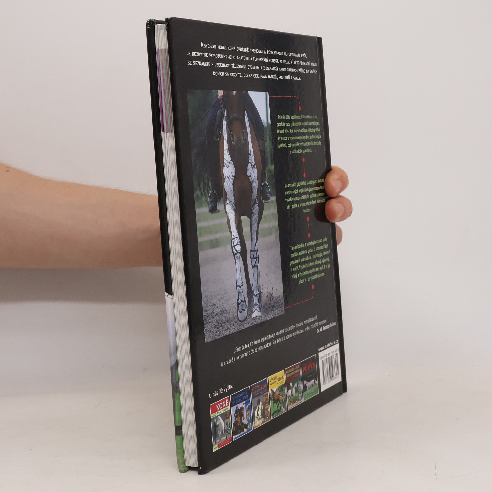 Gillian Higgins Pohyb a výkon koně. Anatomie