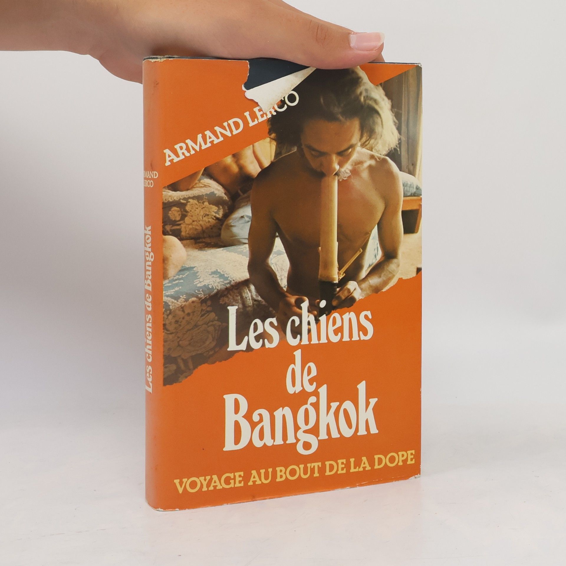 Armand Lerco Les chiens de Bangkok