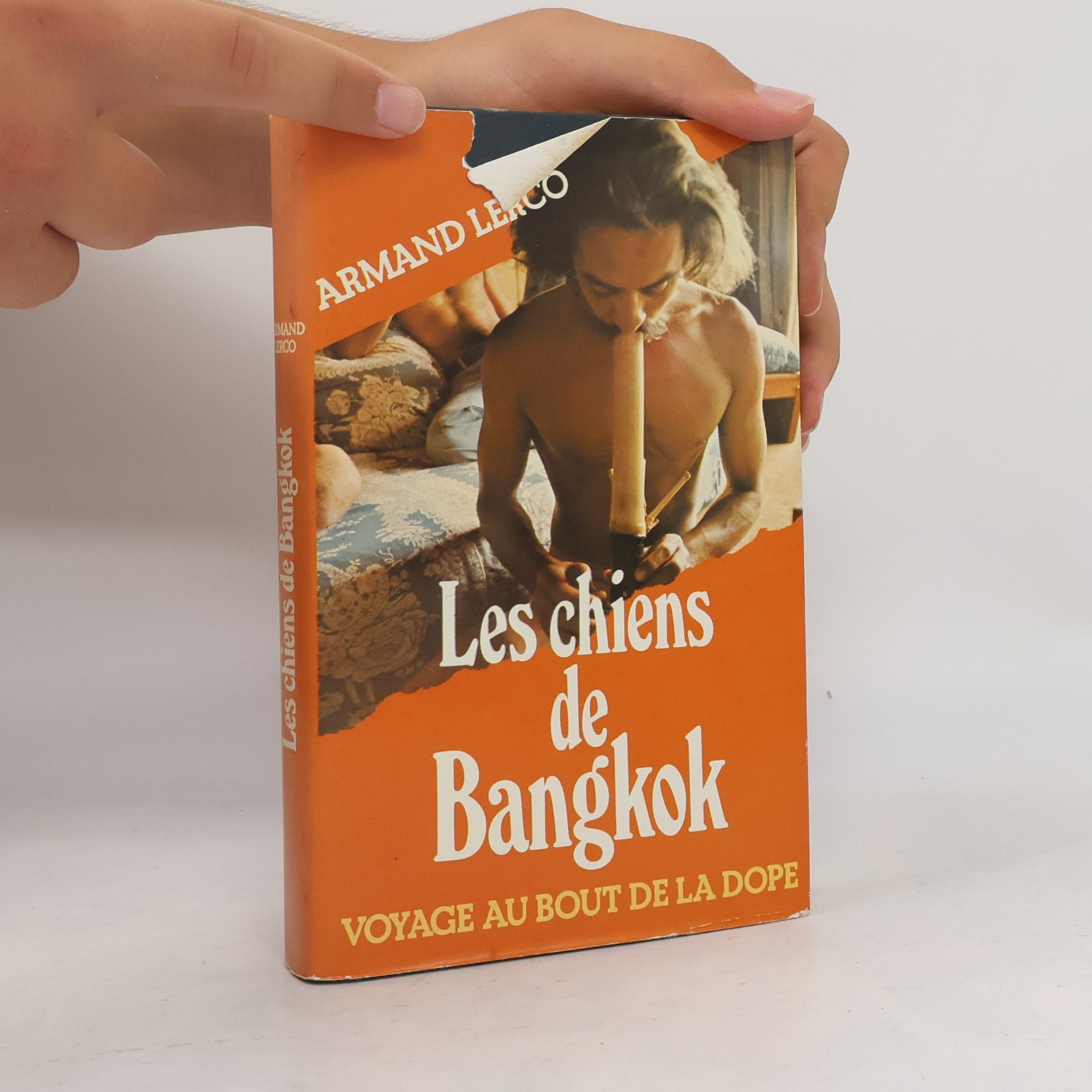 Armand Lerco Les chiens de Bangkok
