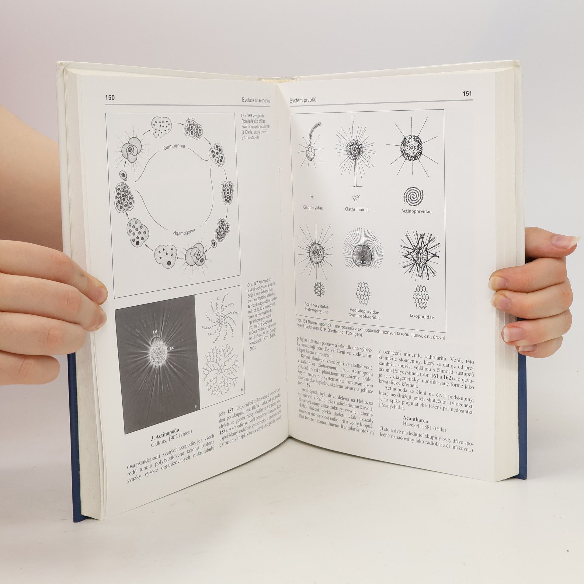 Klaus Hausmann Protozoologie