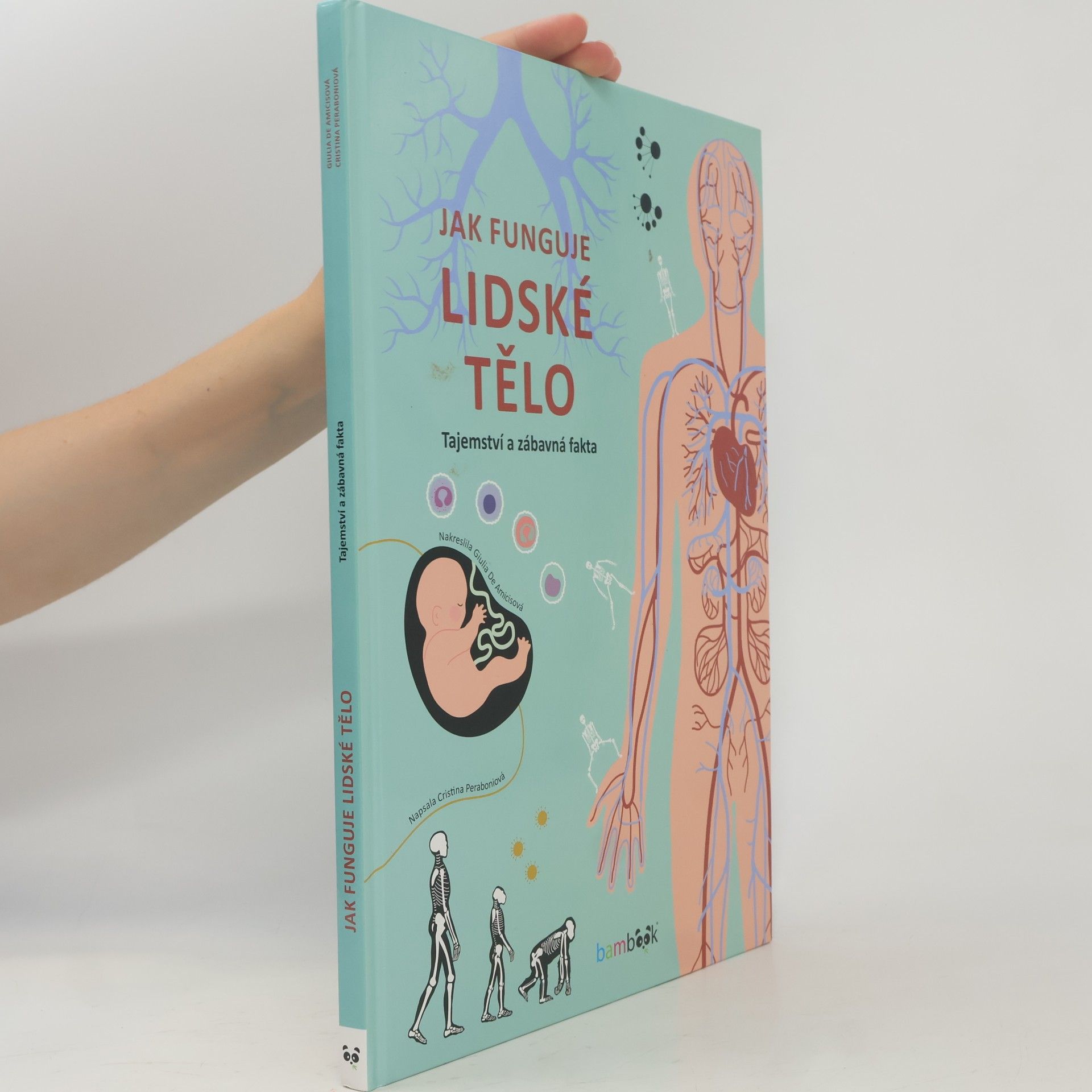 Jak funguje lidské tělo - Tajemství a zábavná fakta