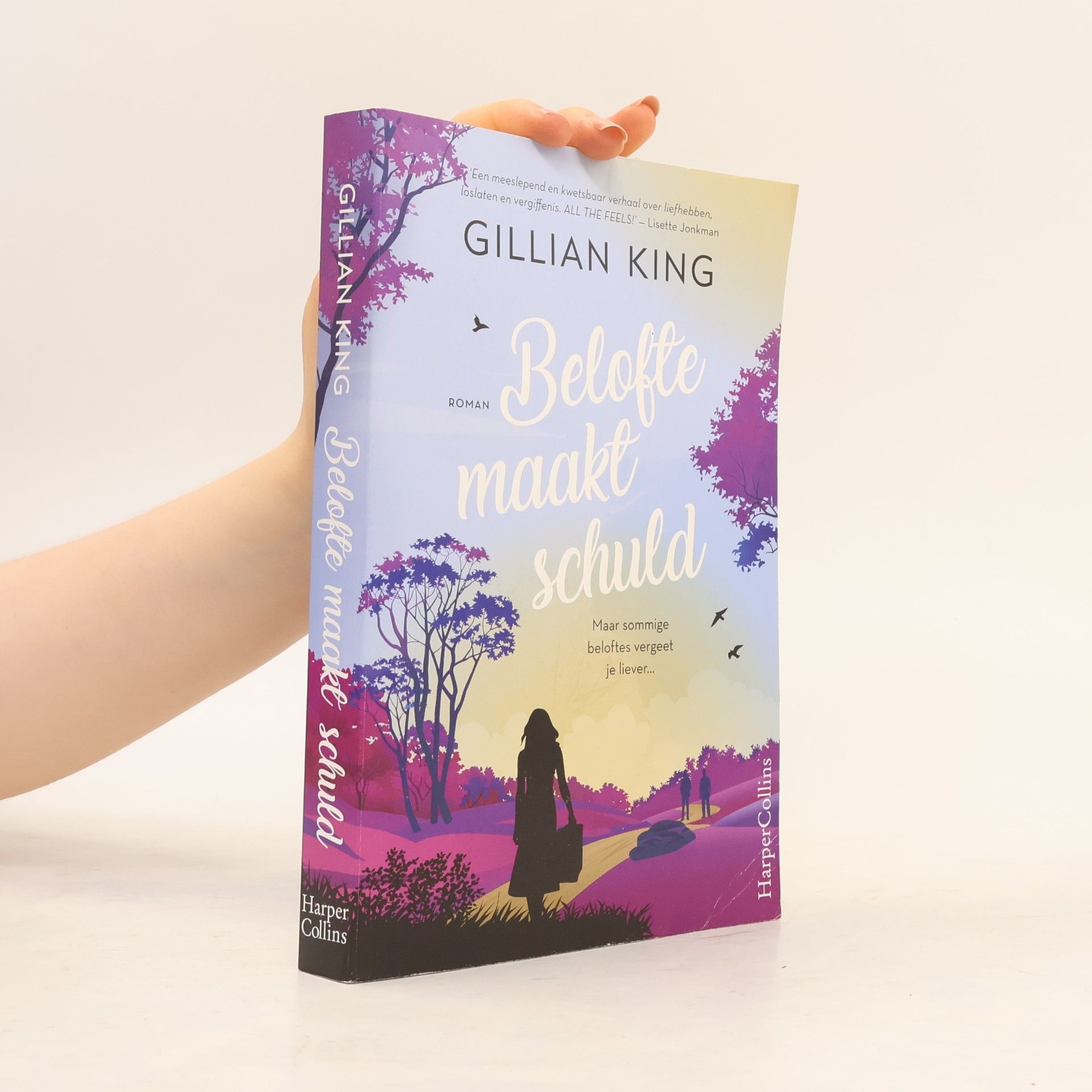 Gillian King Belofte maakt schuld