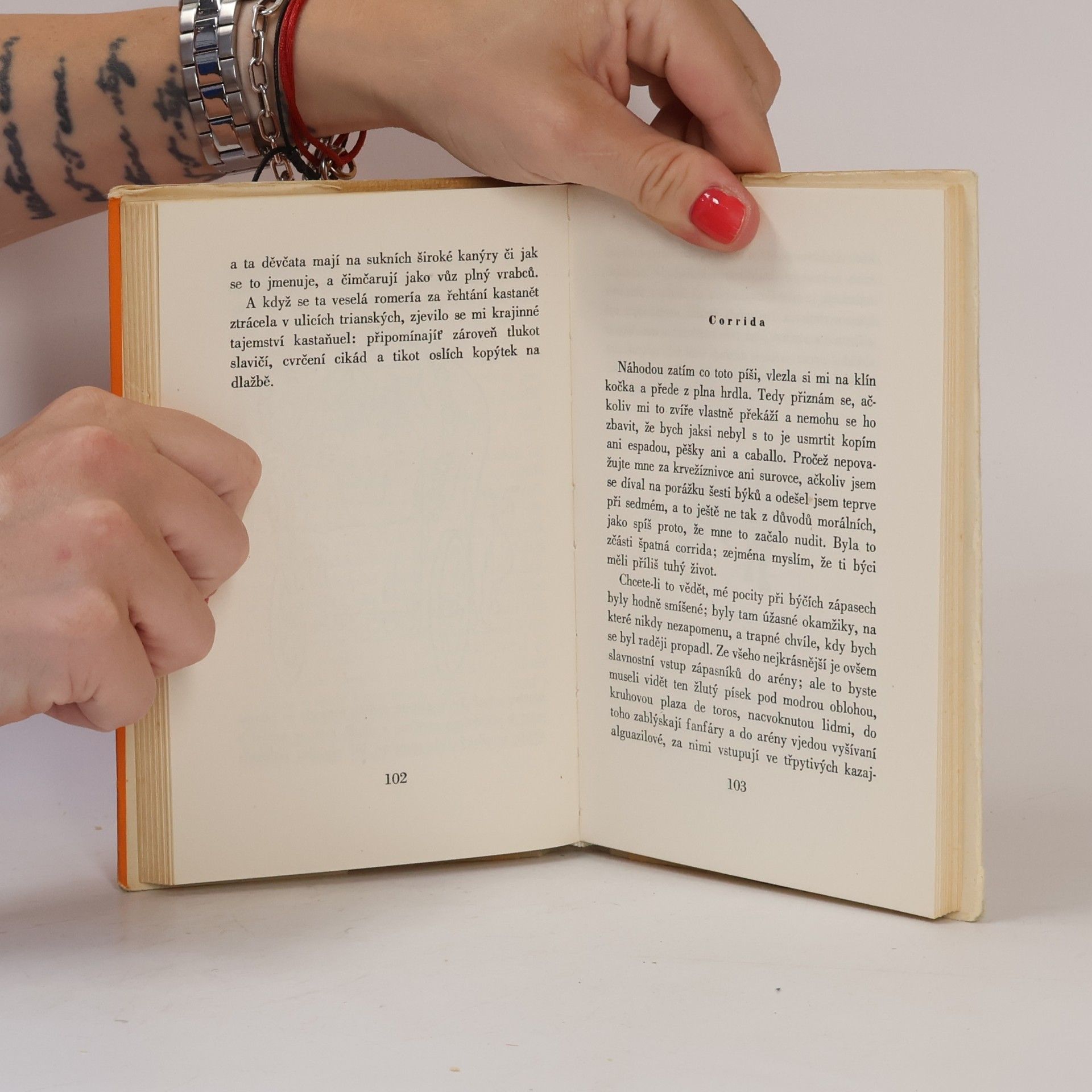 Karel Čapek Výlet do Španěl