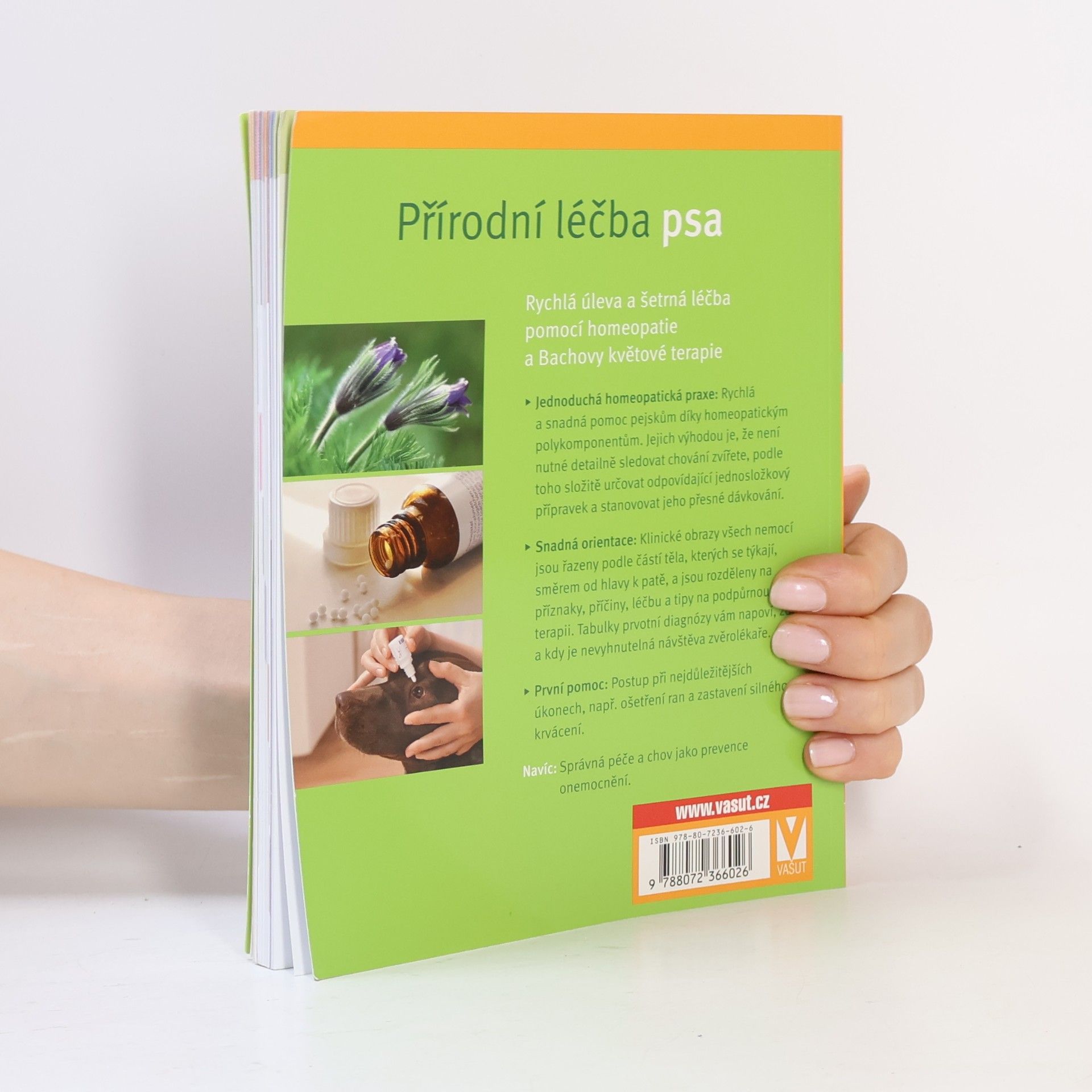 Petra Stein Přírodní léčba psa. Rychlá úleva pomocí homeopatie a Bachovy květové terapie
