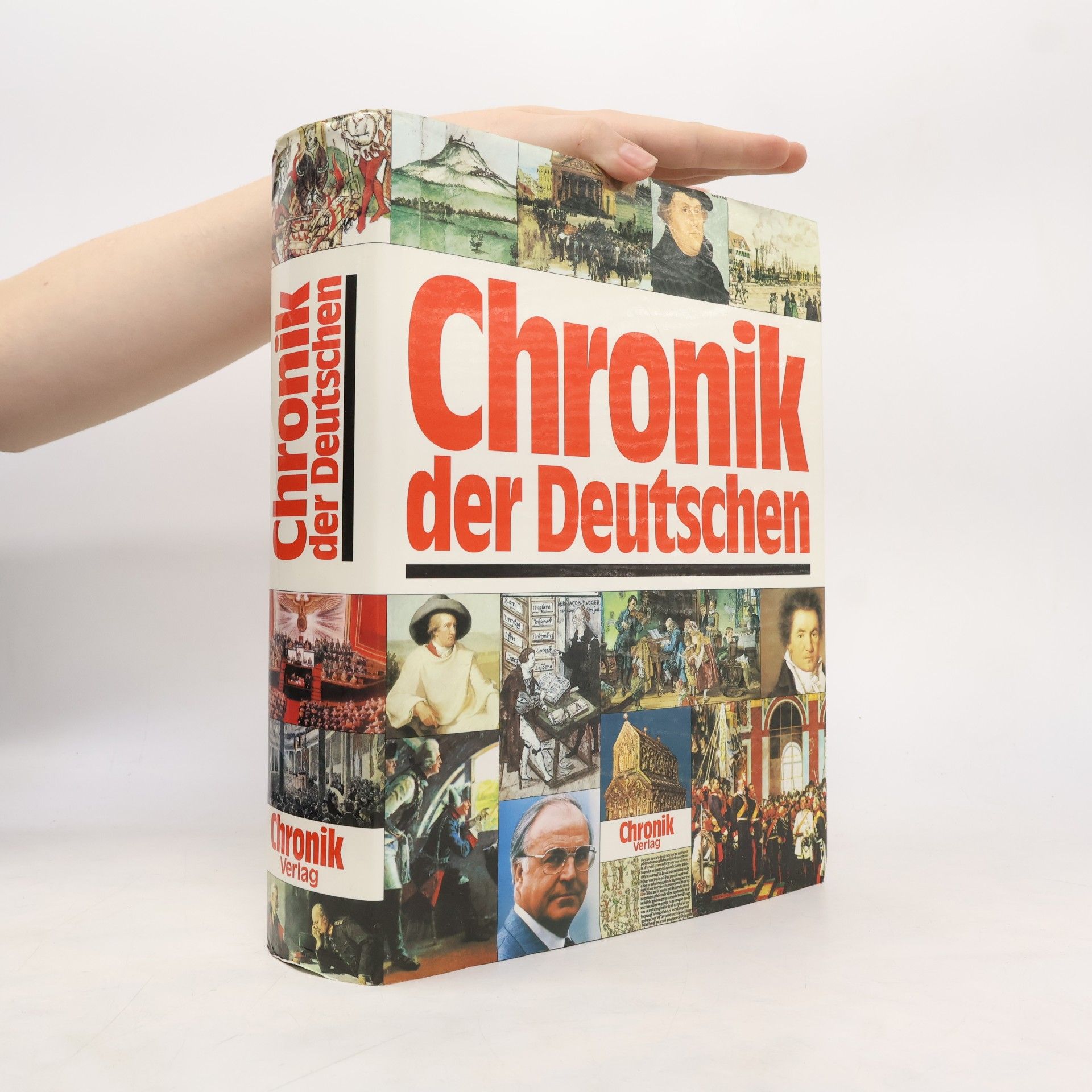 Brigitte Beier Chronik der Deutschen