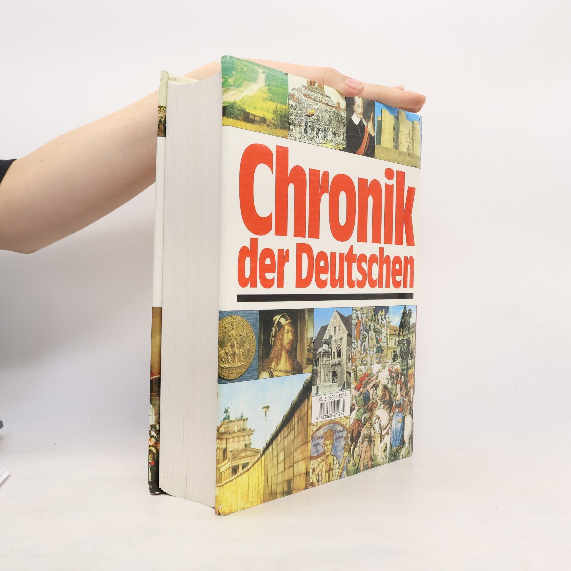 Brigitte Beier Chronik der Deutschen