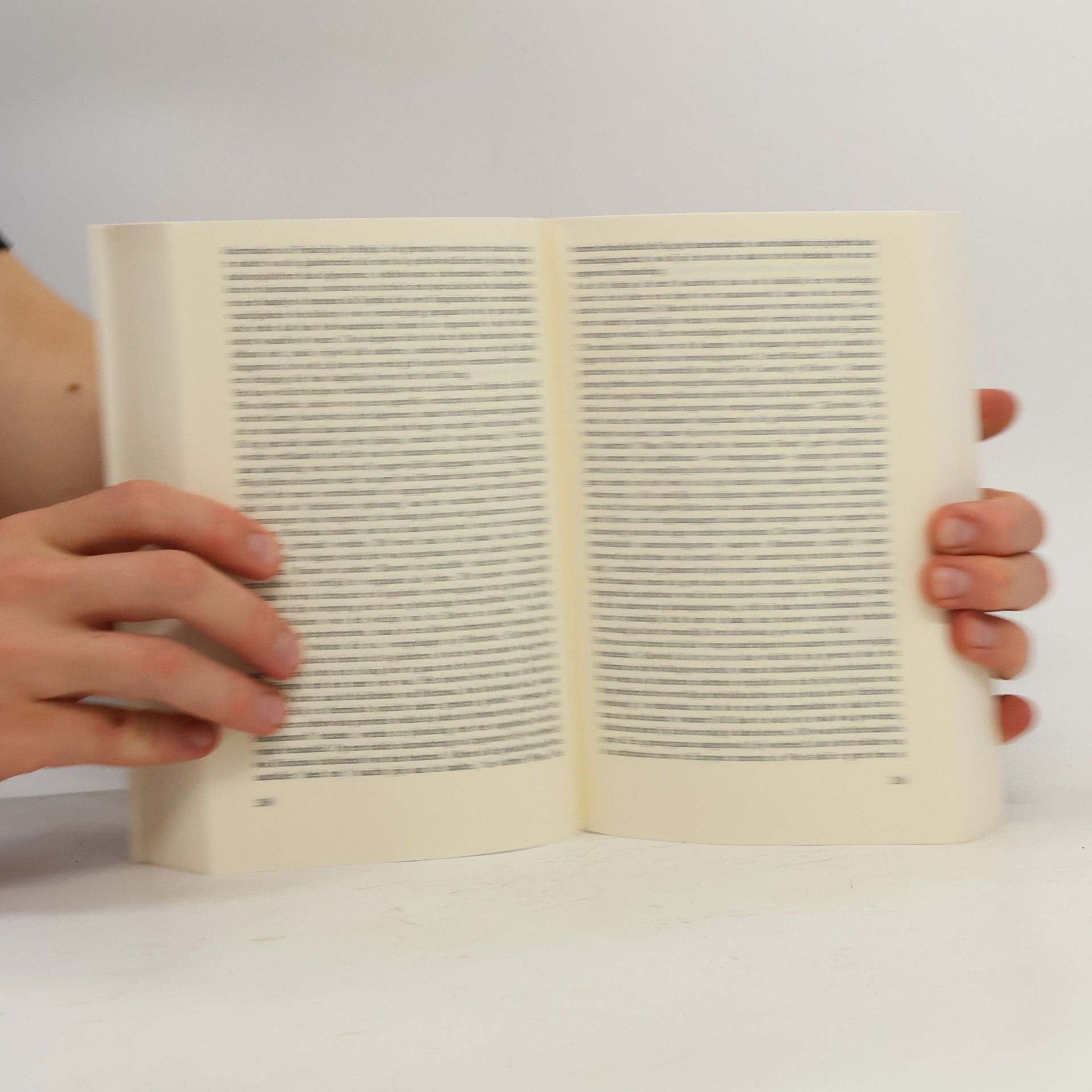William Styron Sophie's keuze