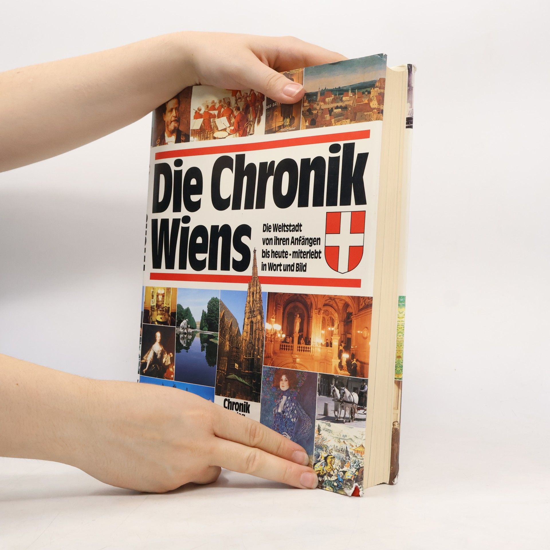 Karl Vocelka Die Chronik Wiens
