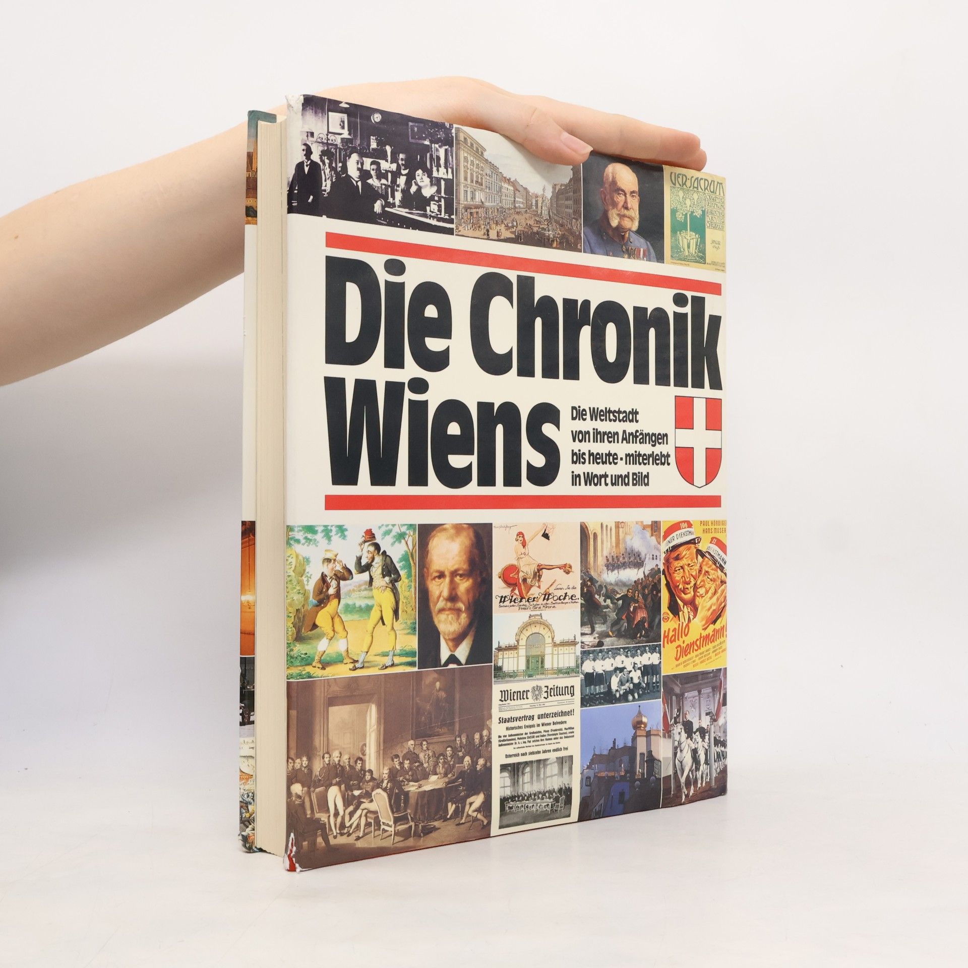 Karl Vocelka Die Chronik Wiens