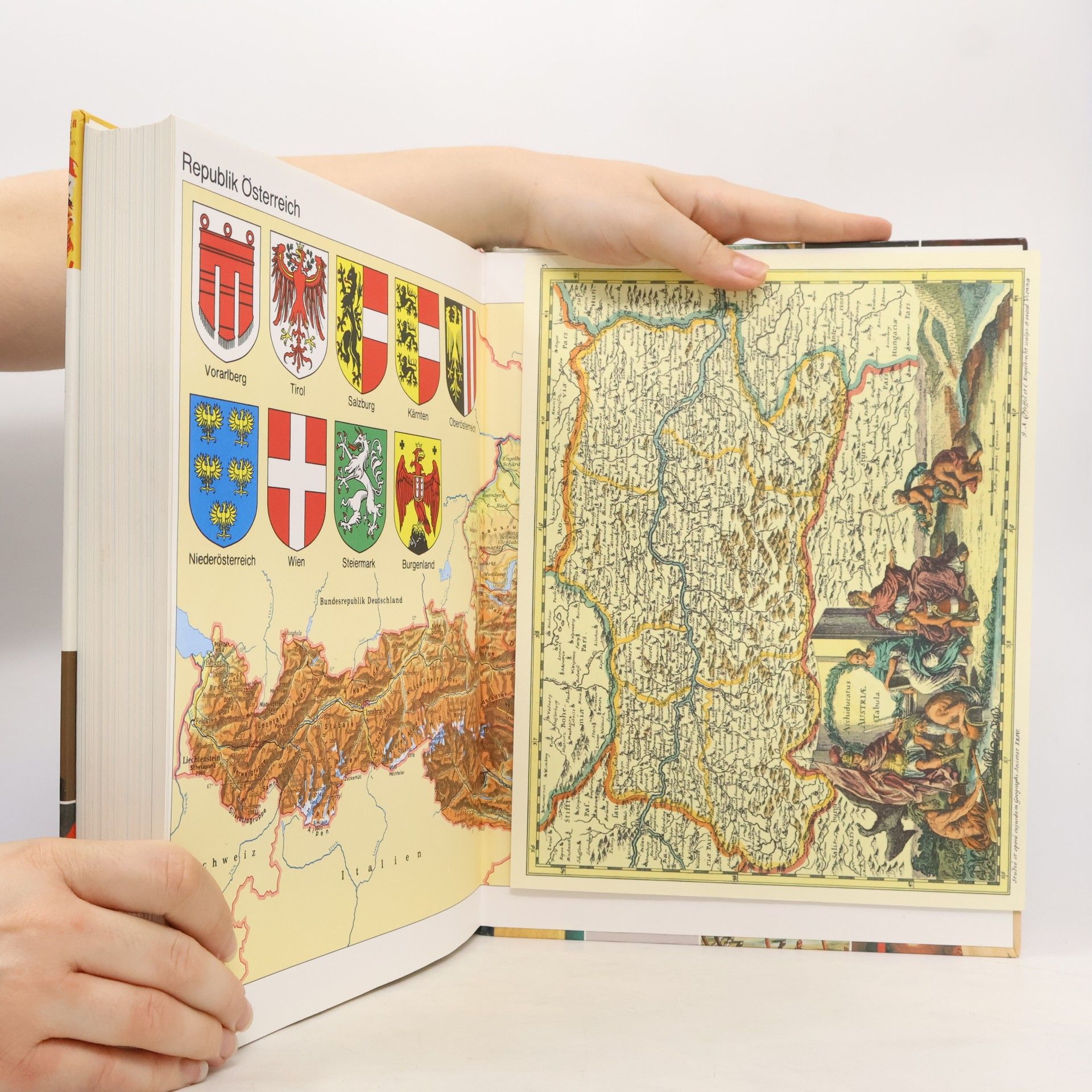 Autorenkollektiv Die Chronik Österreichs