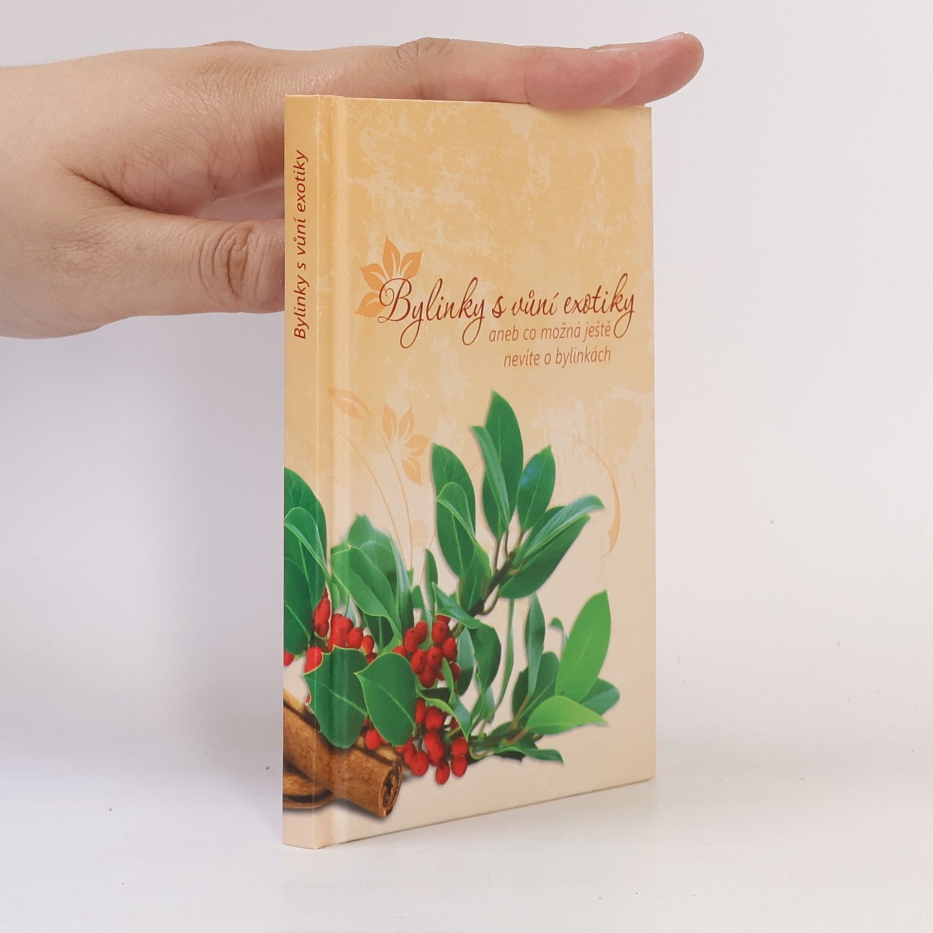 Bylinky s vůní exotiky, aneb, Co možná ještě nevíte o bylinkách