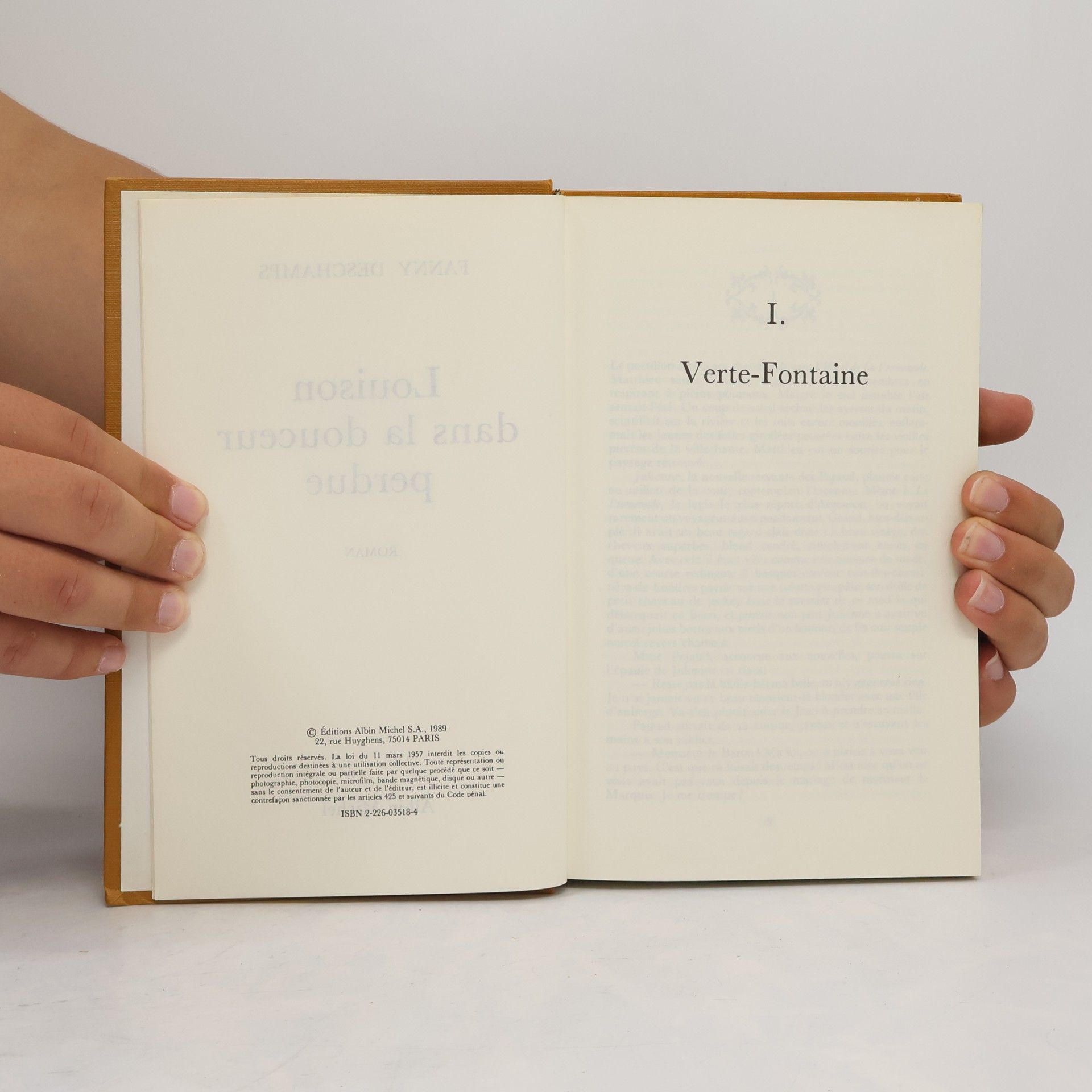 Fanny Deschamps Louison dans la douceur perdue