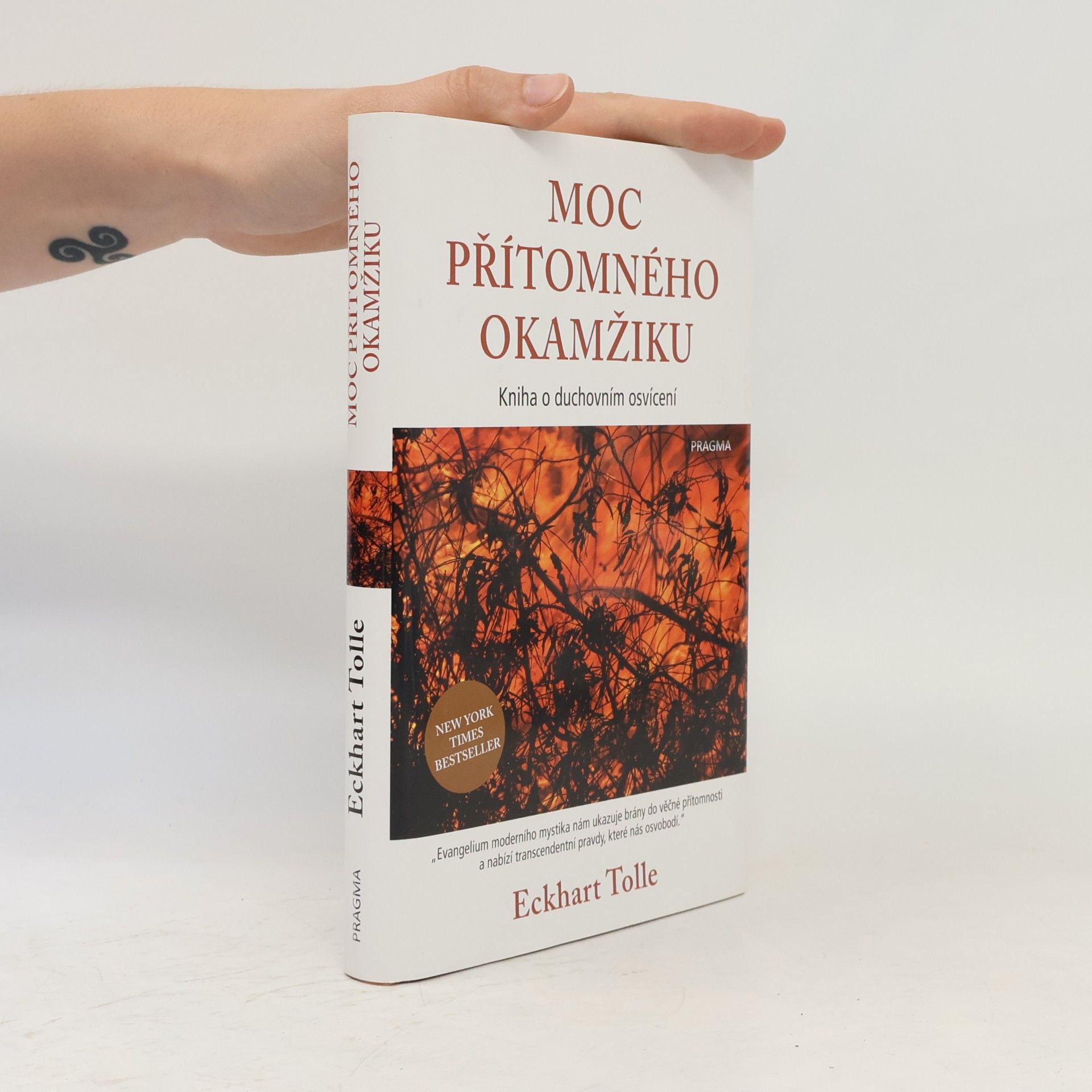 Eckhart Tolle Moc přítomného okamžiku