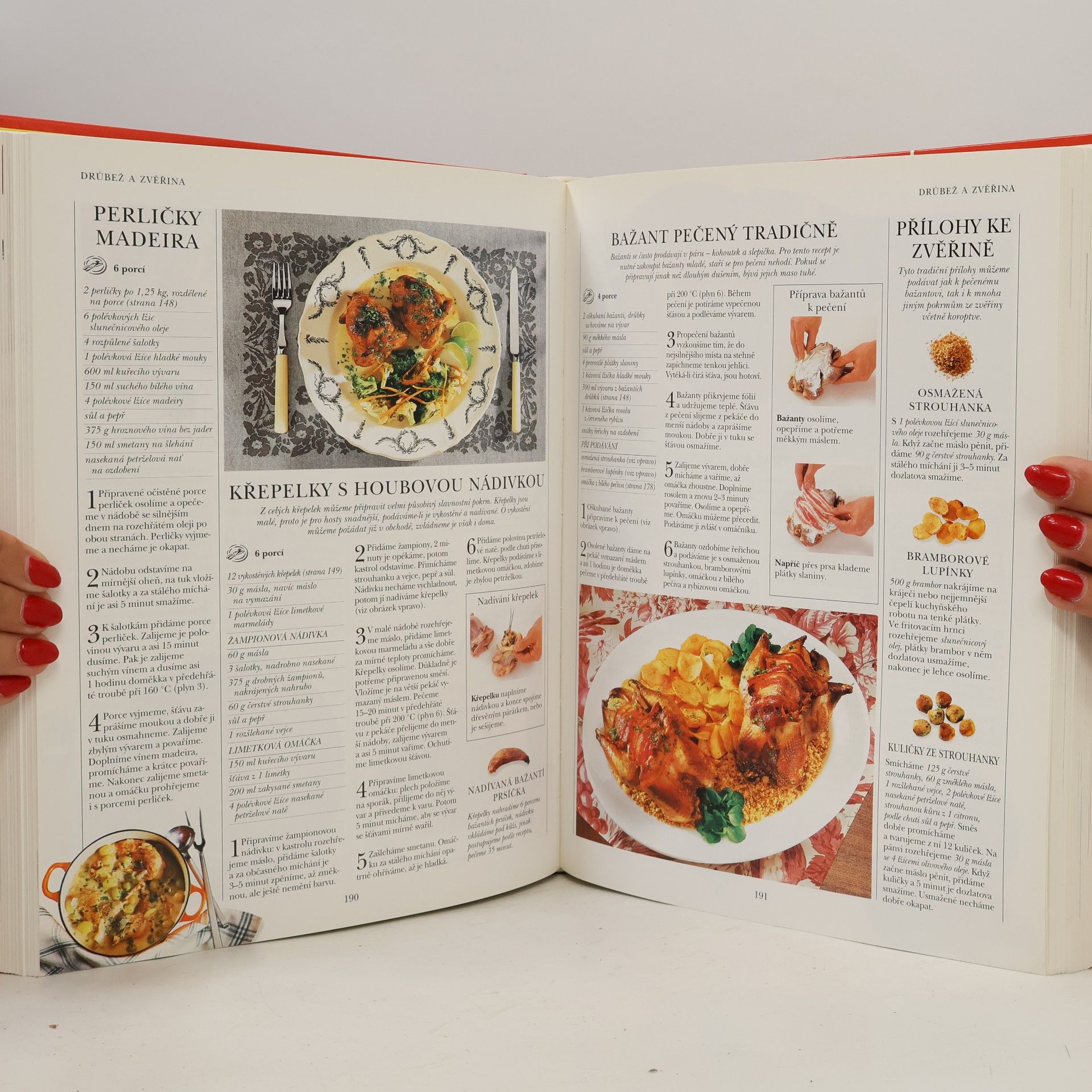 Mary Berry Velká rodinná kuchařka