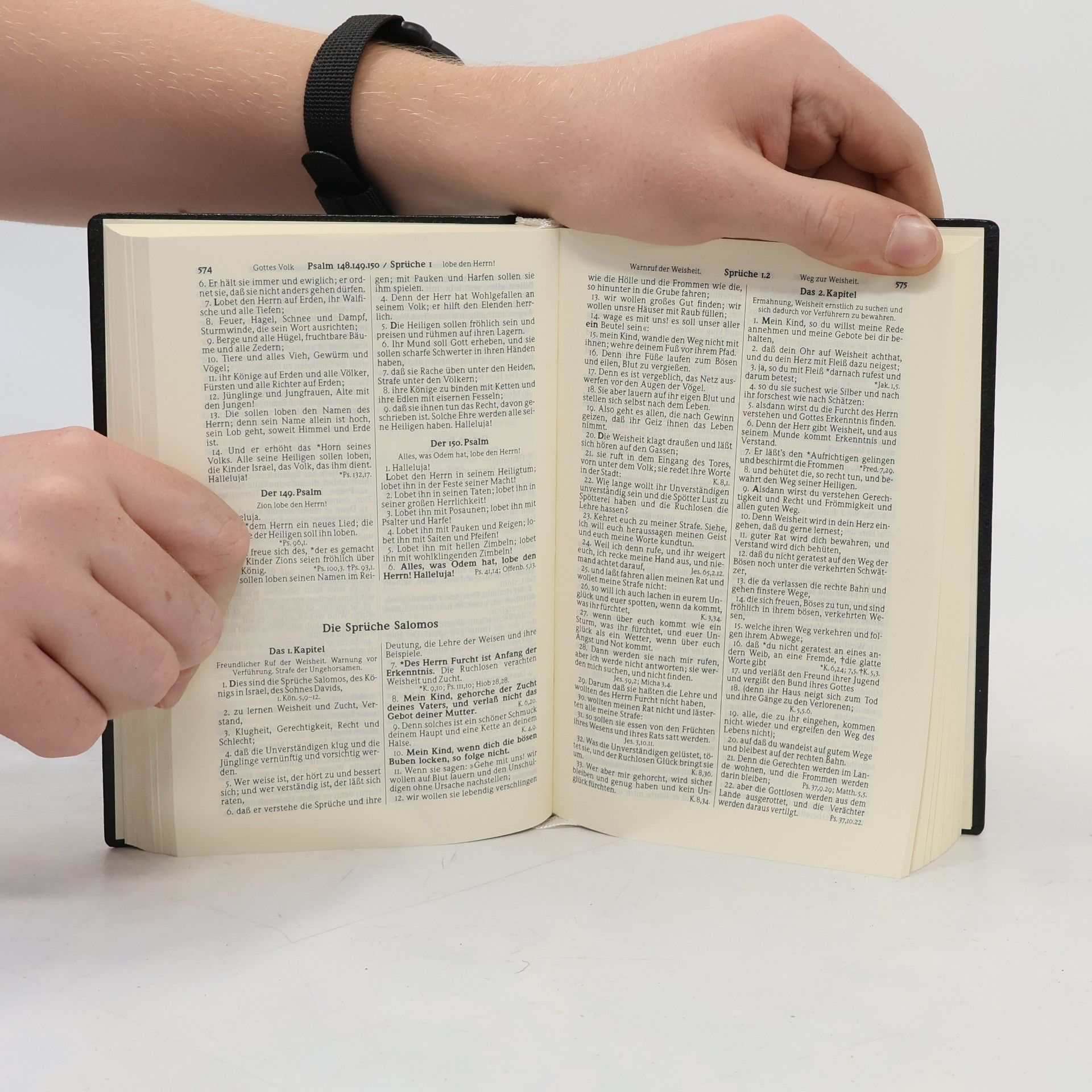 Martin Luther Die Bibel
