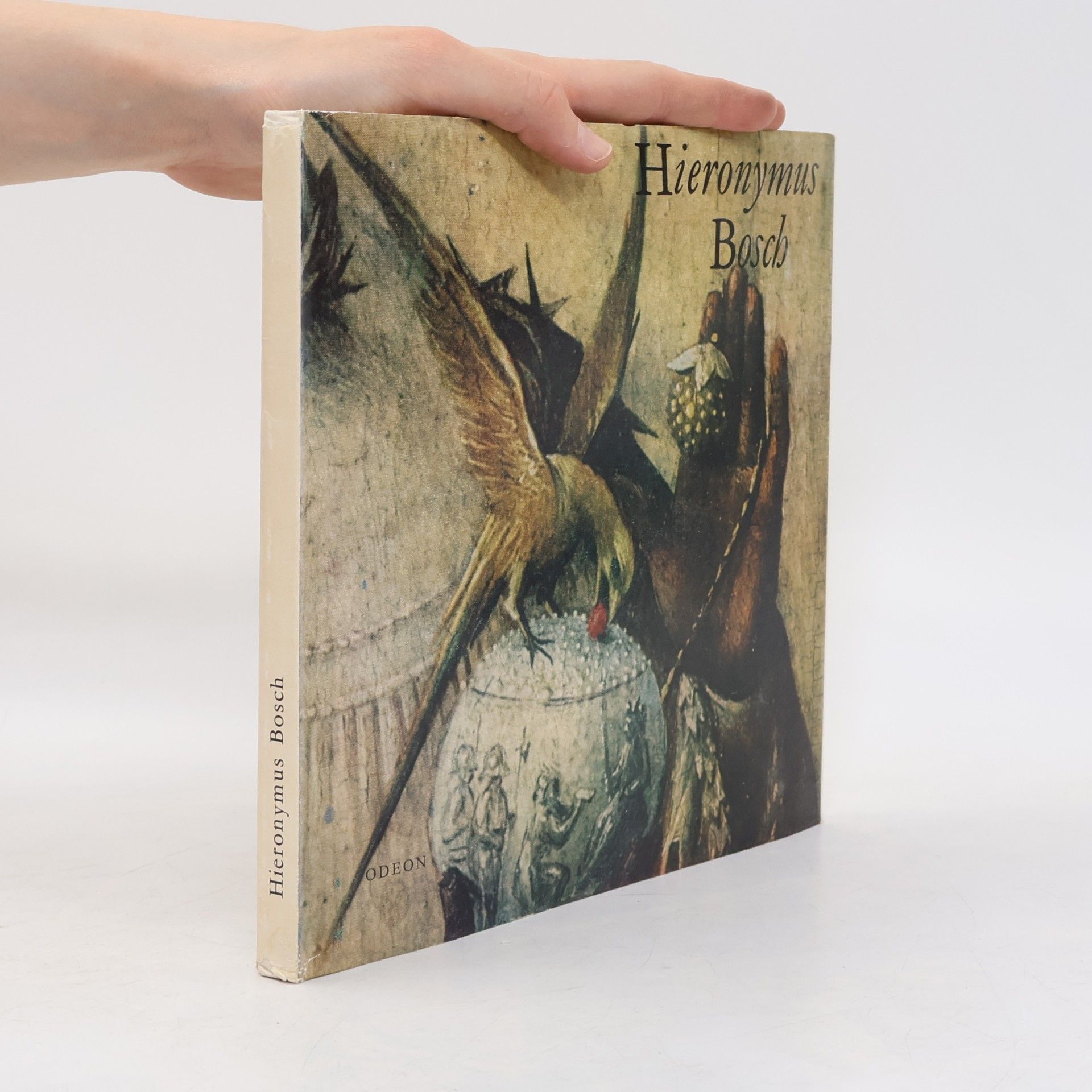 Hana Volavková Hieronymus Bosch