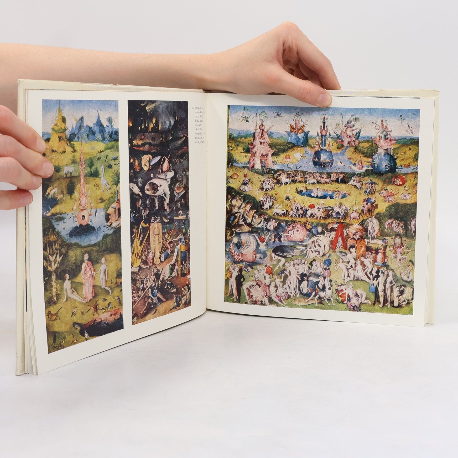 Hana Volavková Hieronymus Bosch