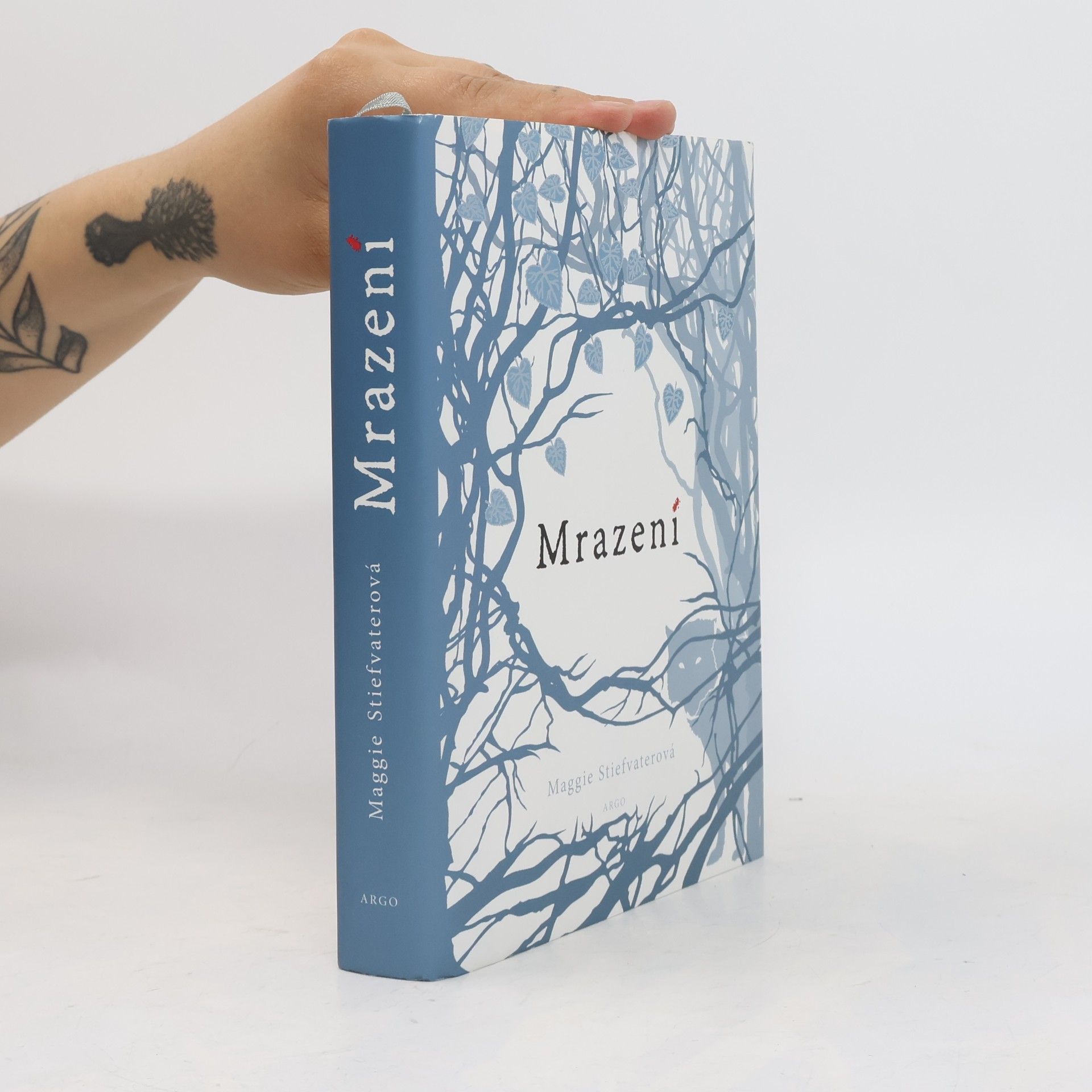 Maggie Stiefvater Mrazení
