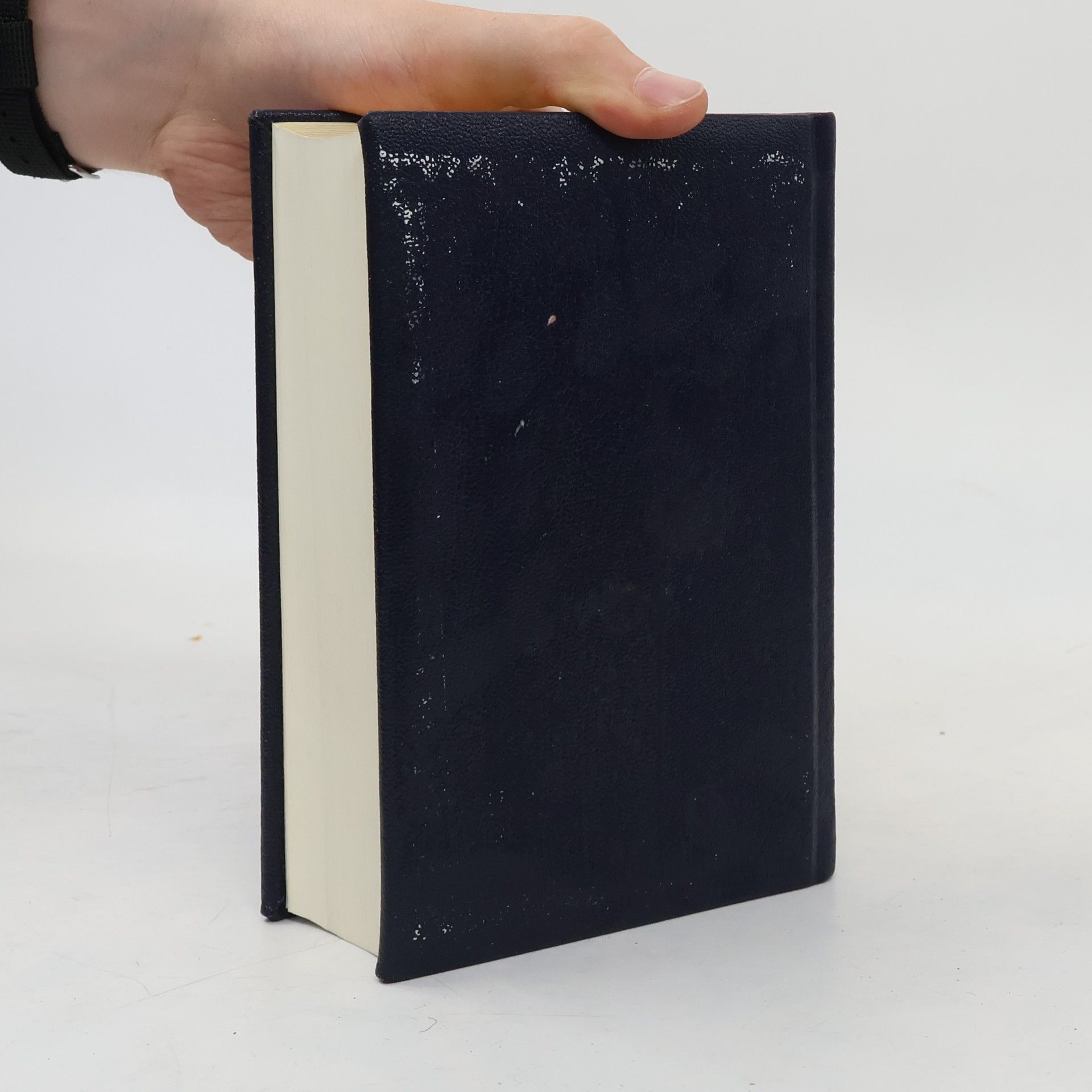 Collectif d'auteurs Die Bibel