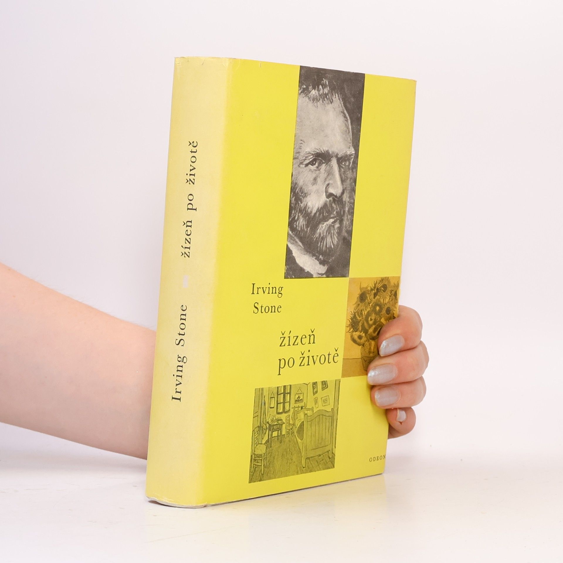 Irving Stone Žízeň po životě