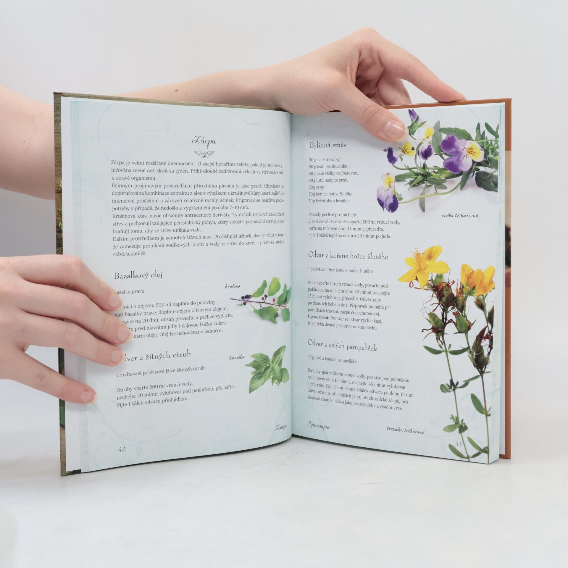 Autorenkollektiv Atlas přírodní medicíny: Fytoterapie, apiterapie, aromaterapie, reflexologie, léčba dechem