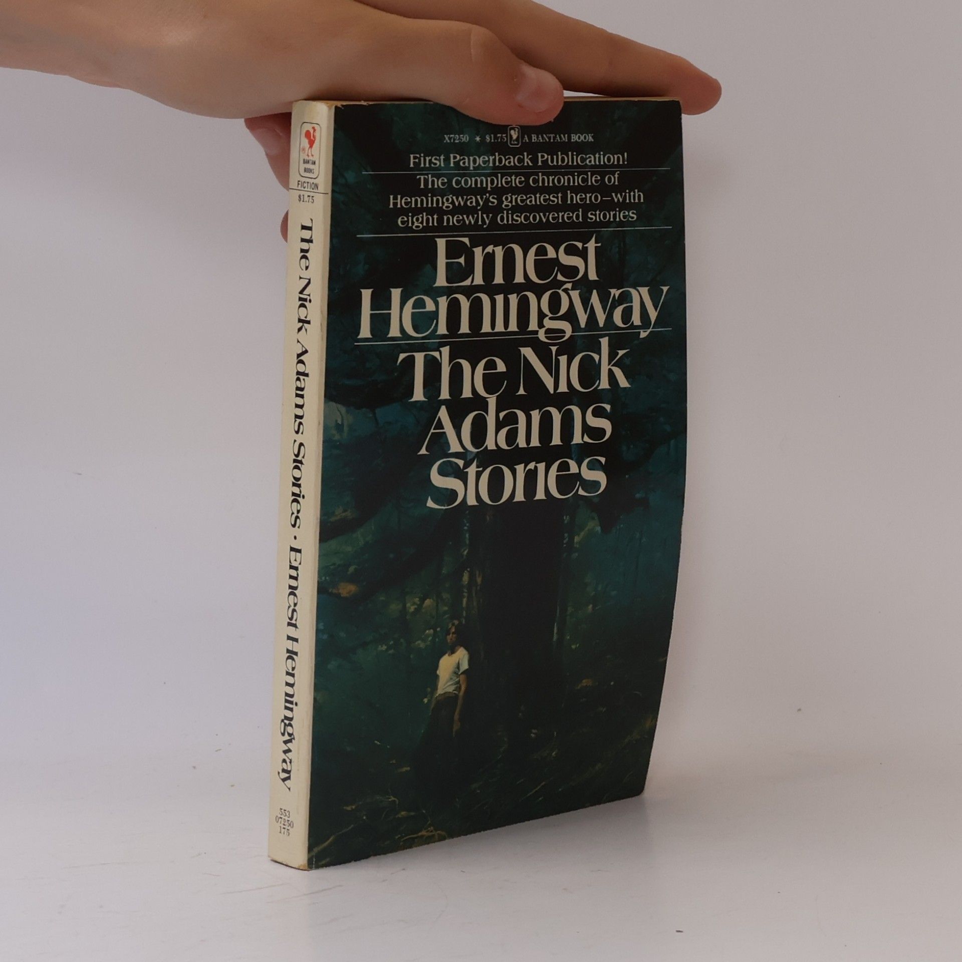 Ernest Hemingway The Nick Adams stories