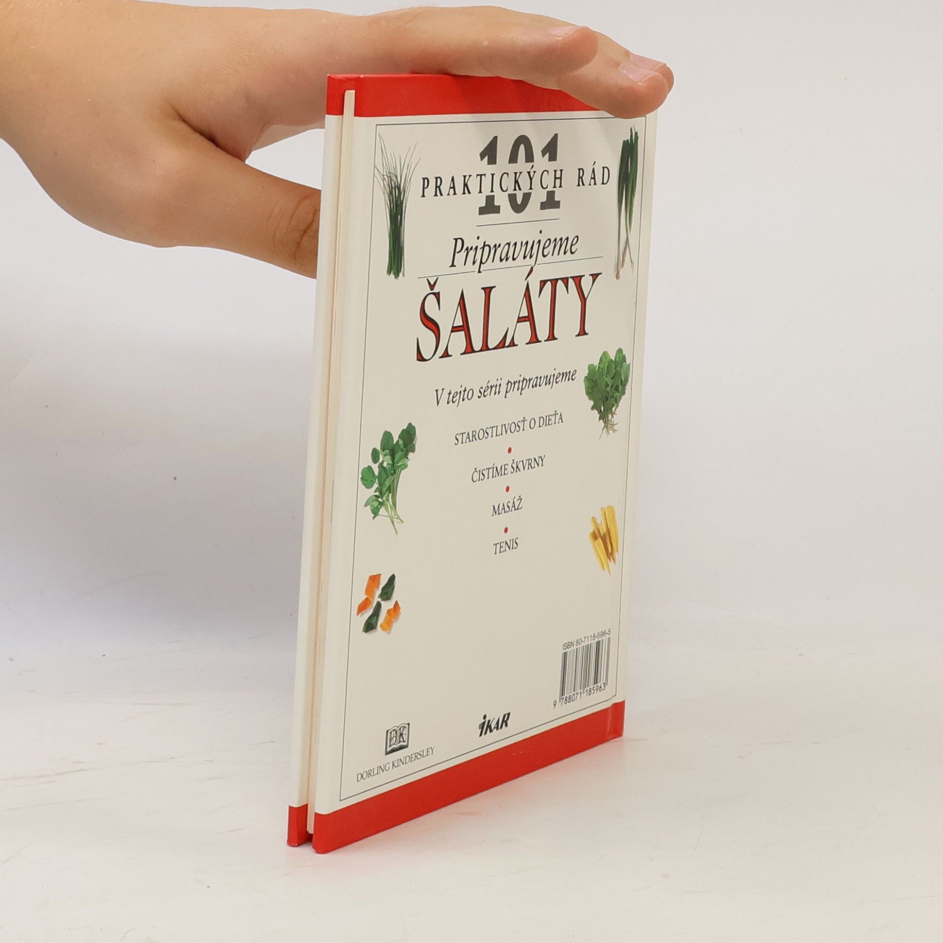 Anne Willan Pripravujeme šaláty