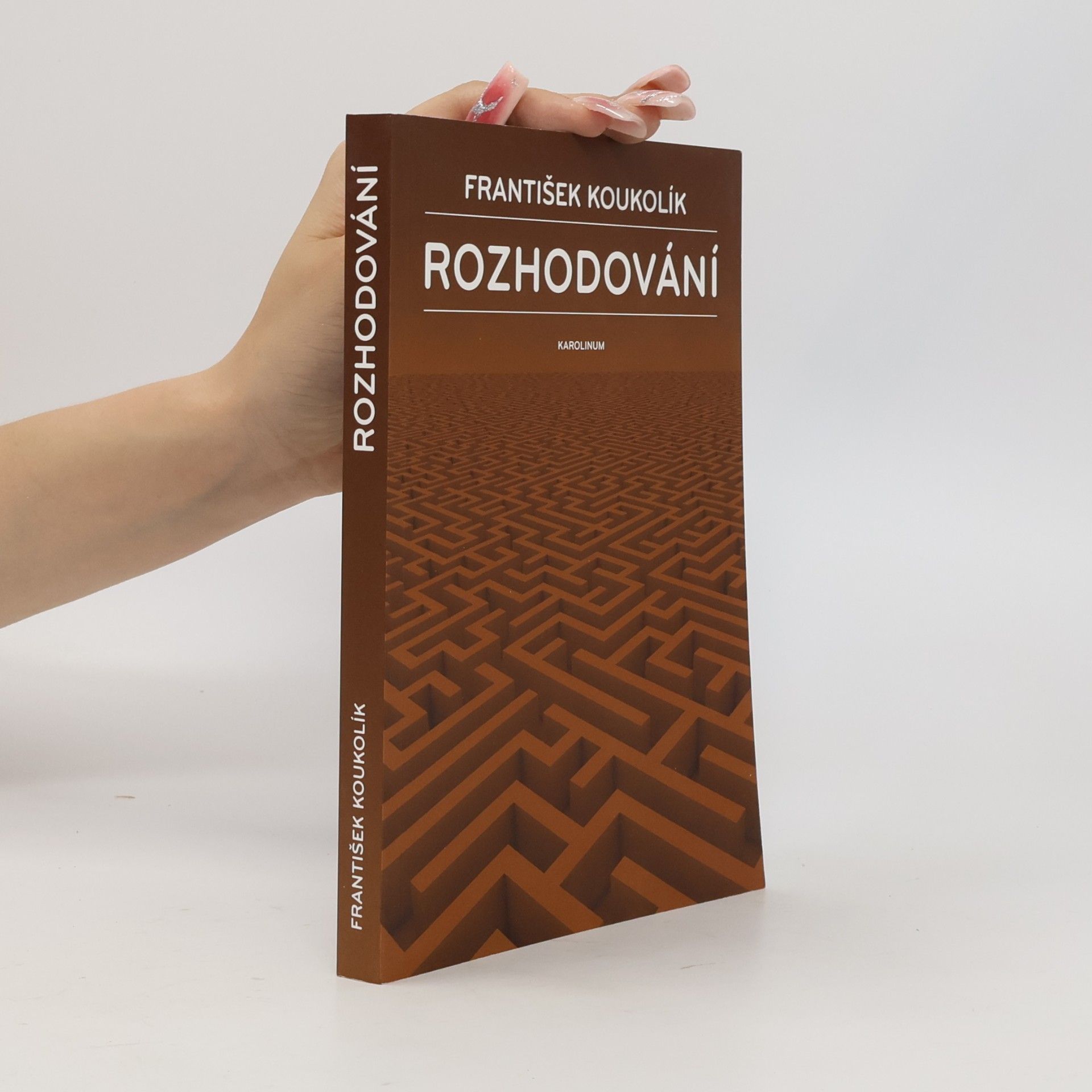 Rozhodování
