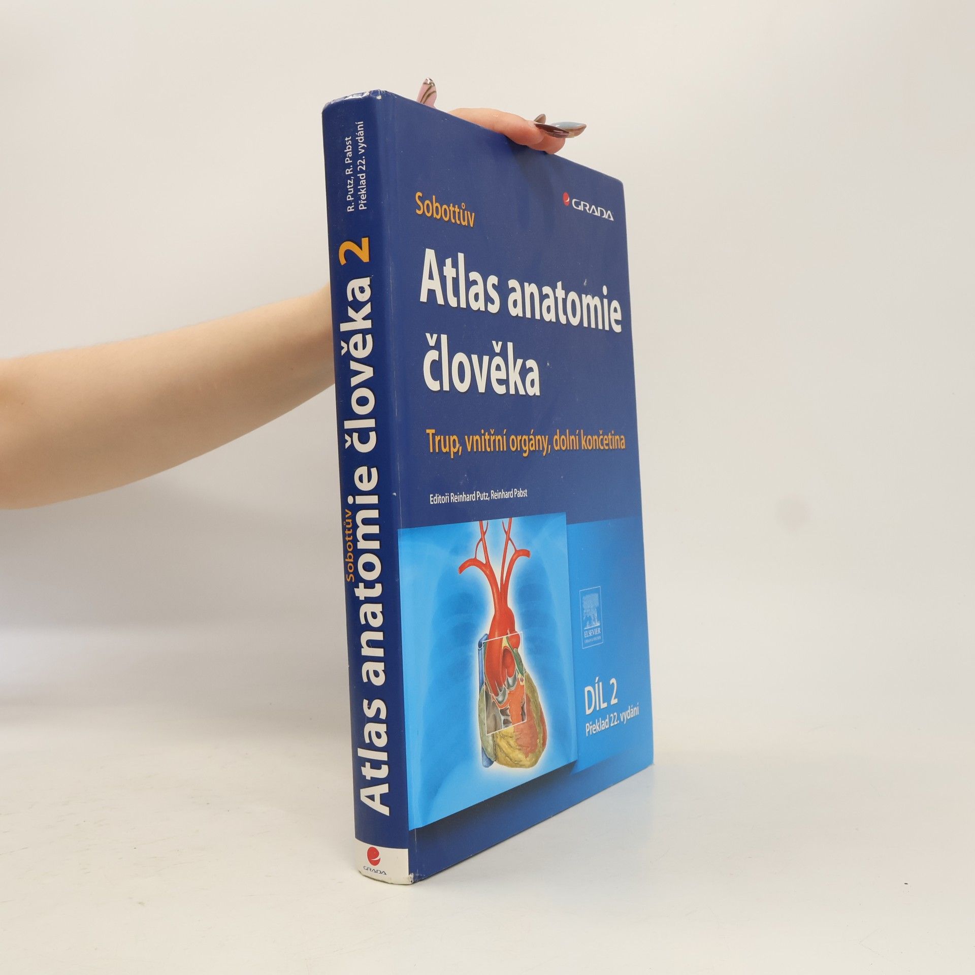 Reinhard Pabst Sobottův Atlas anatomie člověka 2