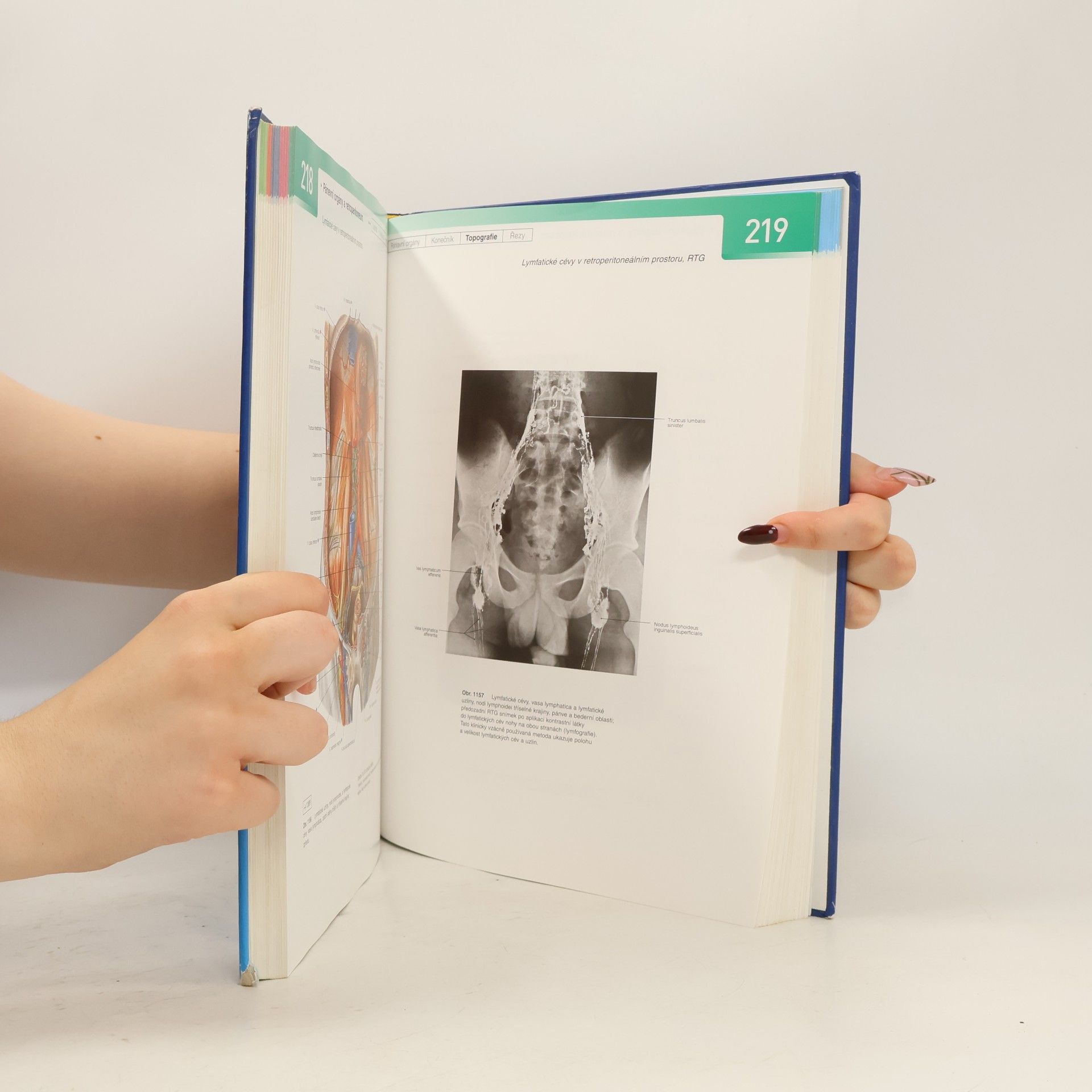 Reinhard Putz Sobottův Atlas anatomie člověka 2