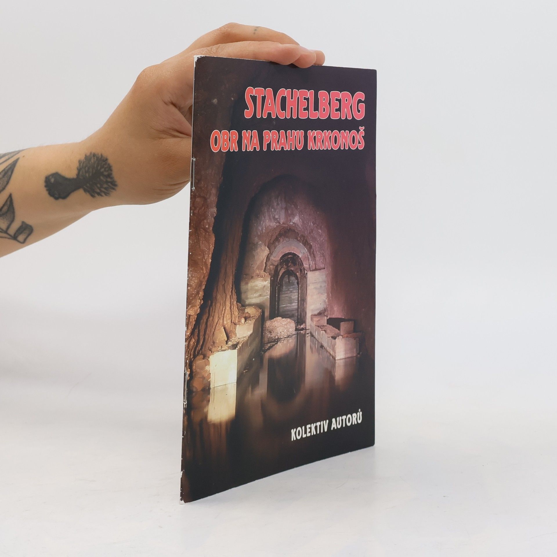 Autorenkollektiv Stachelberg - Obr na prahu Krkonoš