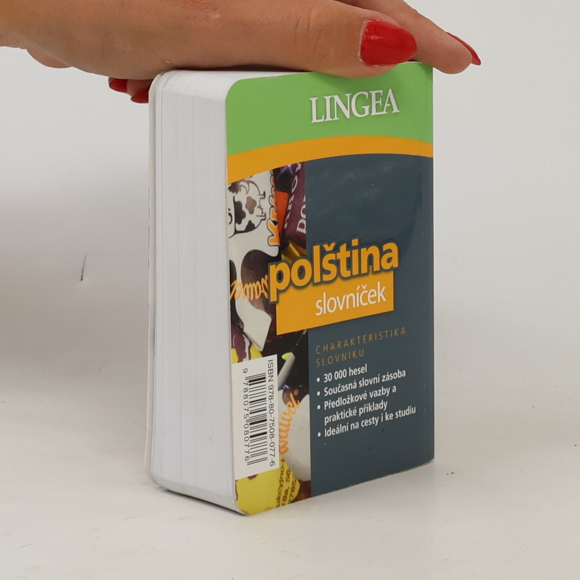 Autorenkollektiv Polština: Slovníček